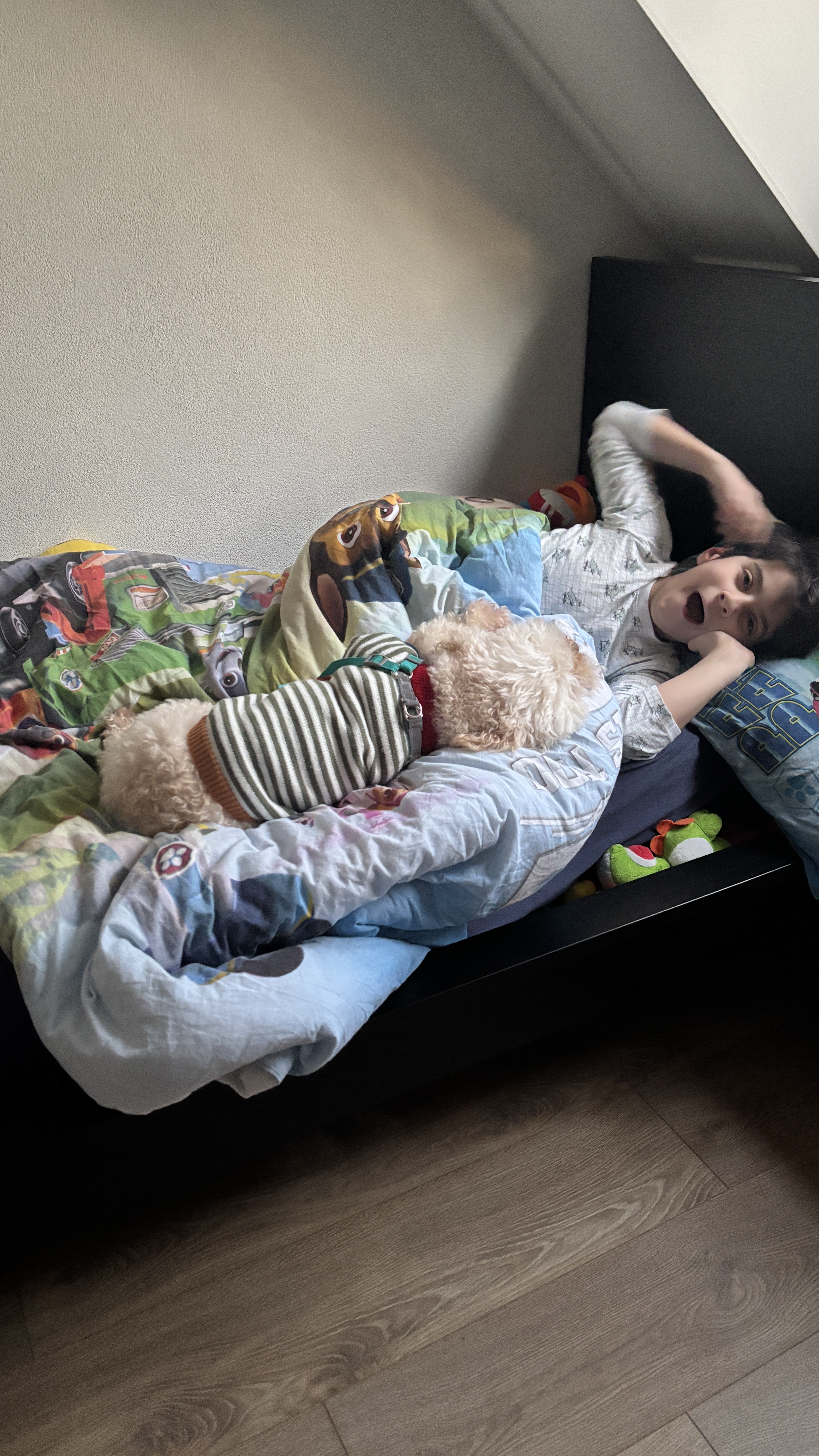 image-3