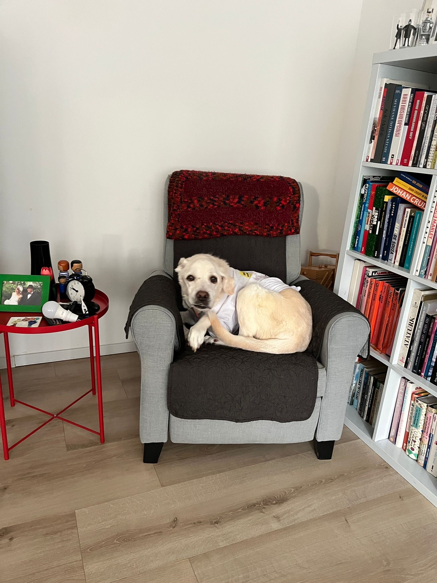 image-16