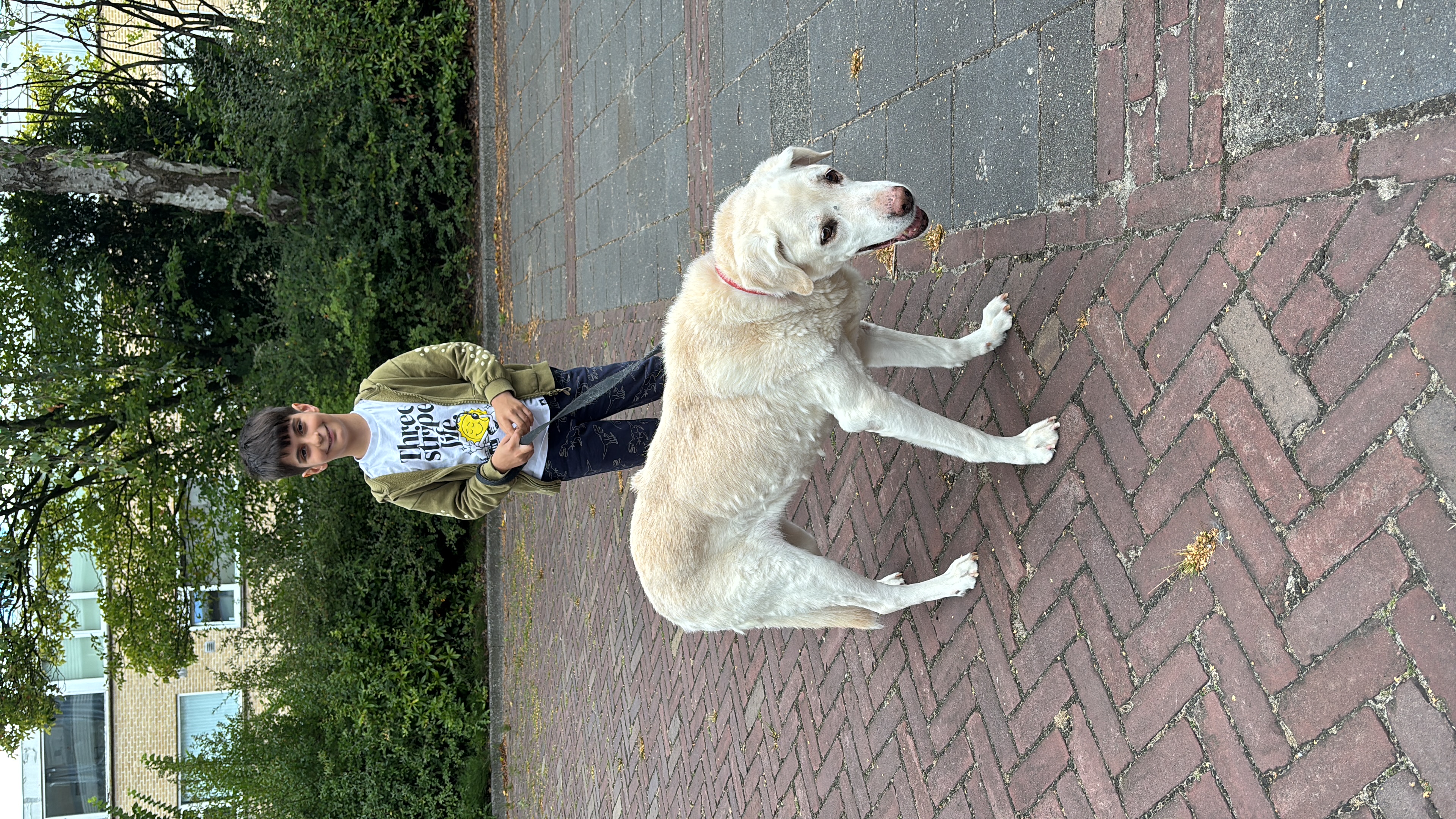 image-29