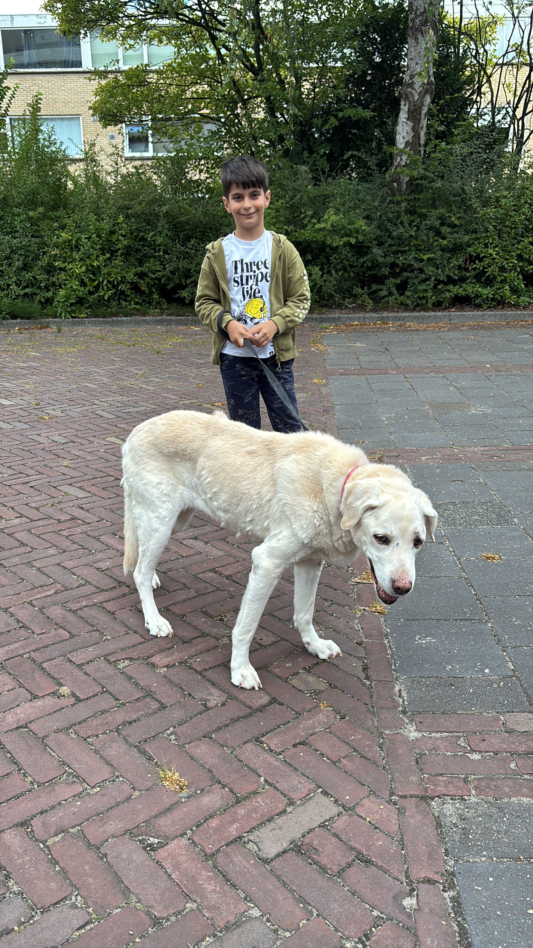 image-29