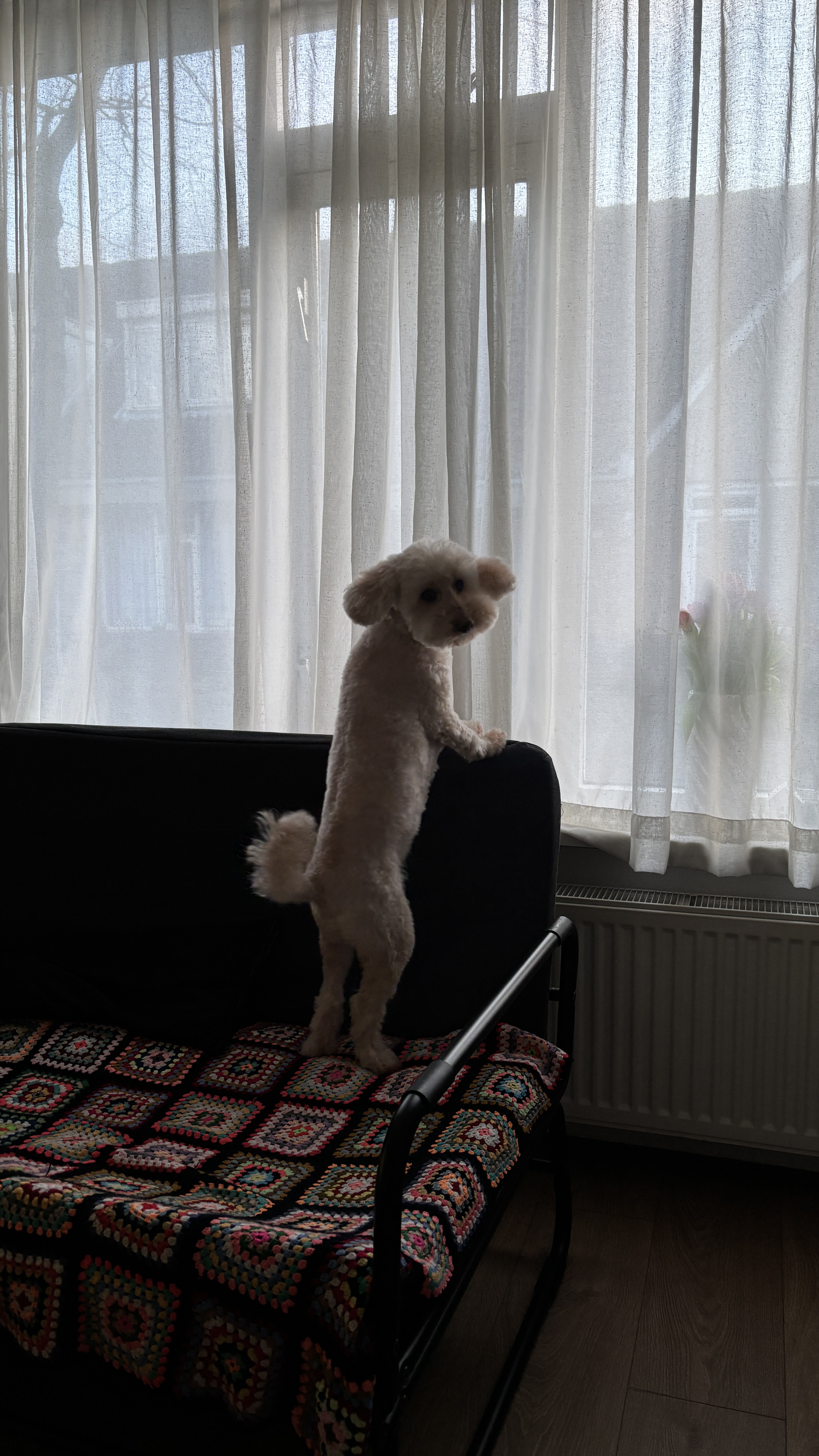 image-27