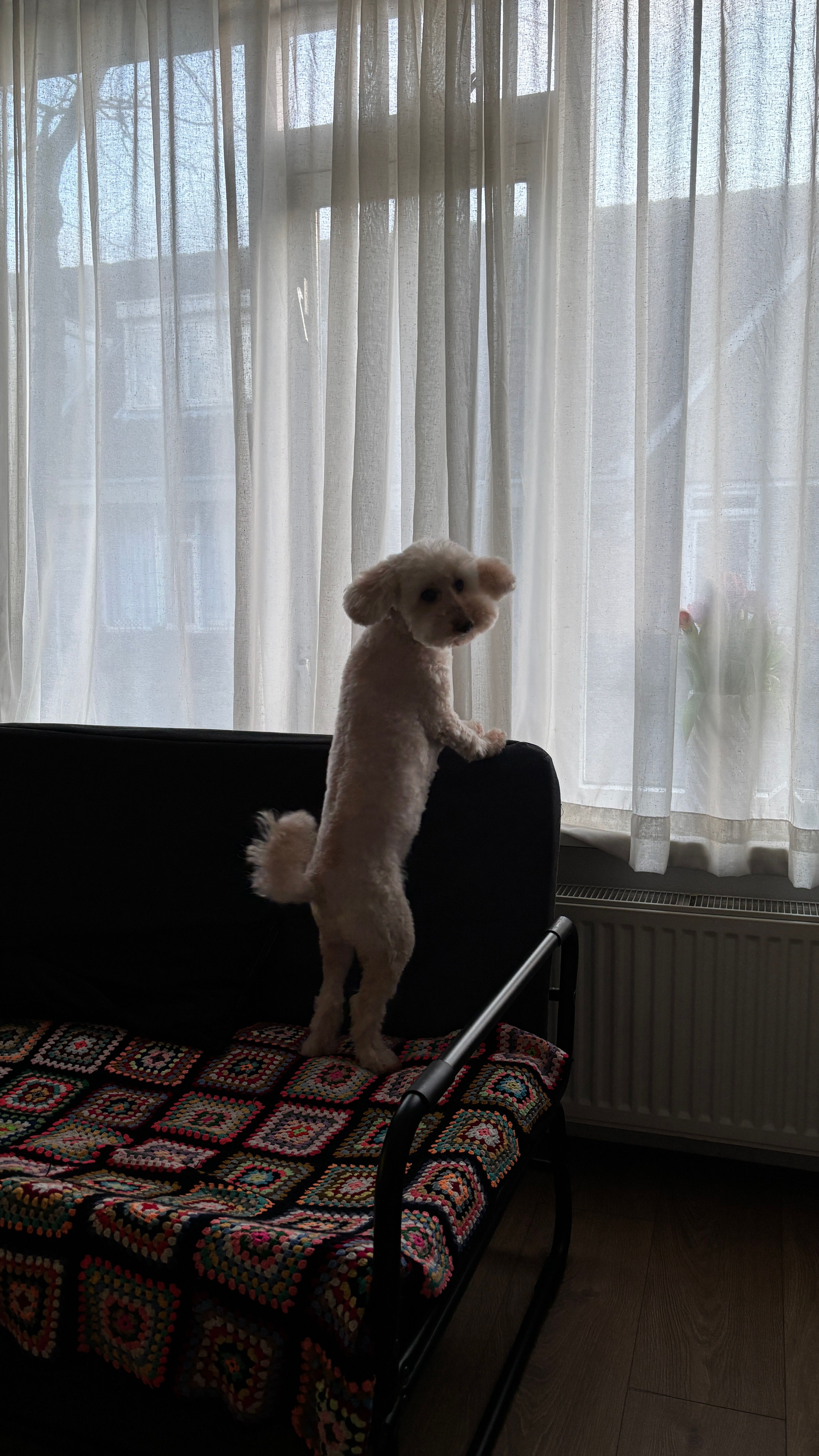 image-27