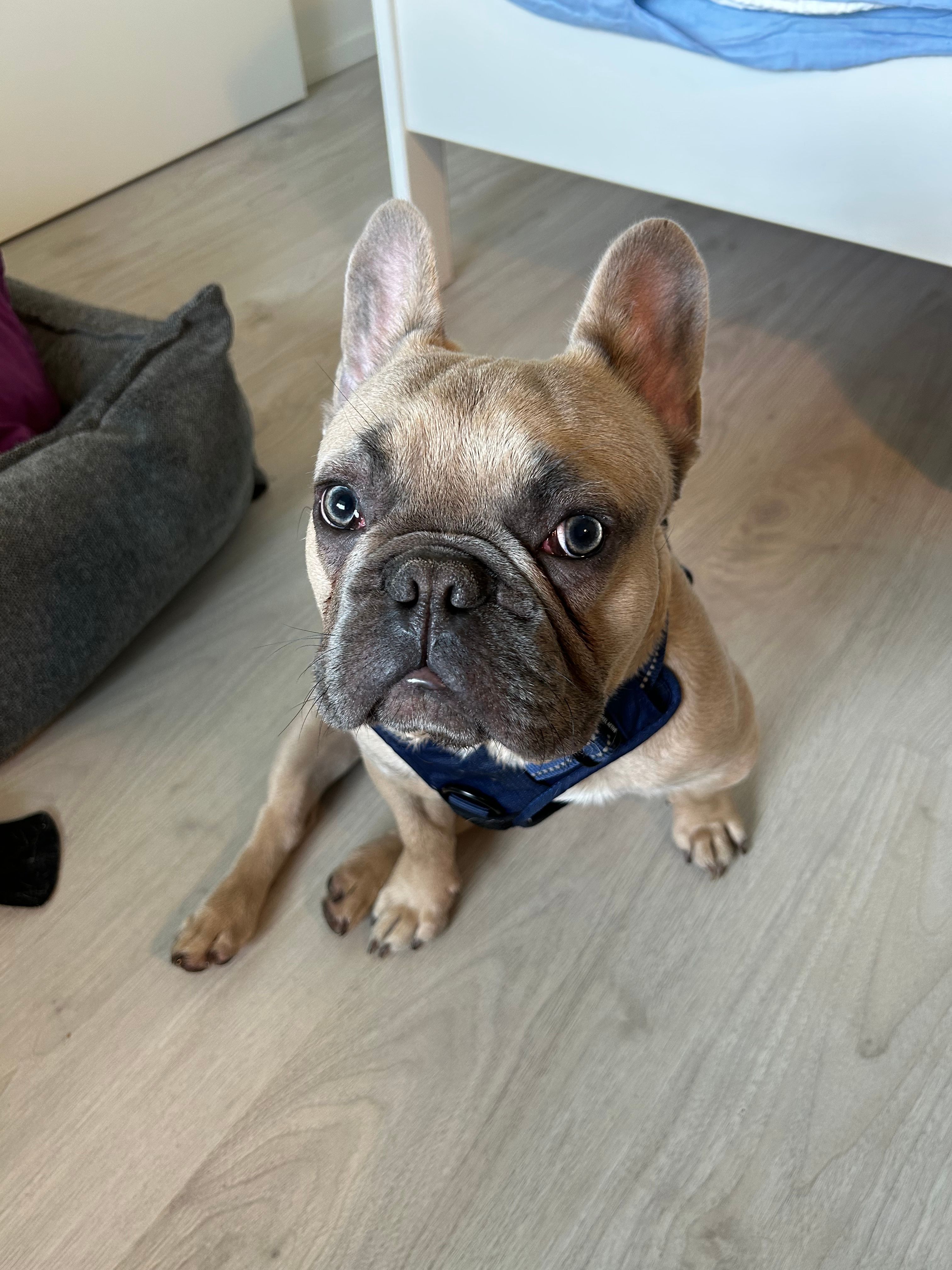 image-12
