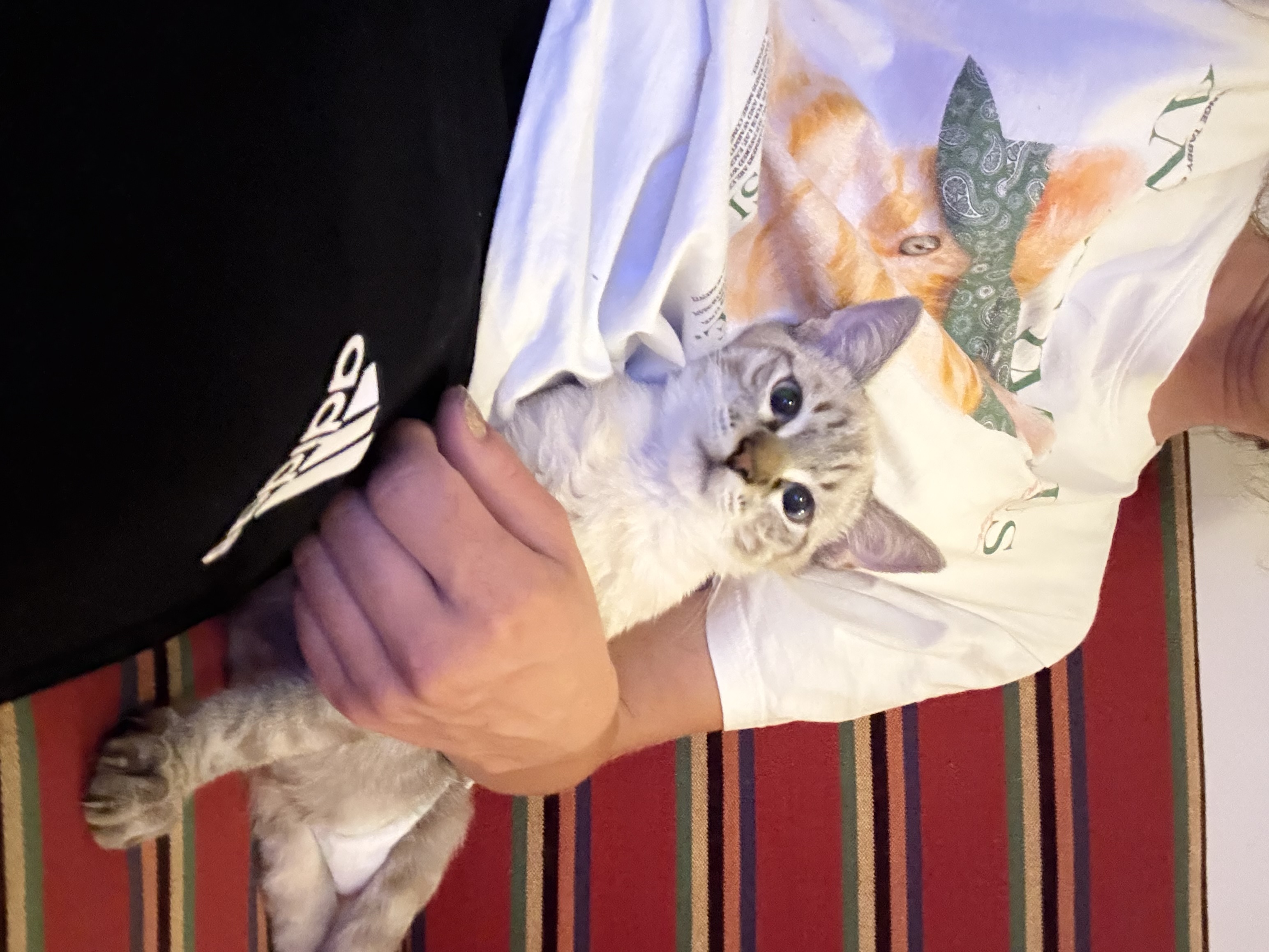 image-6