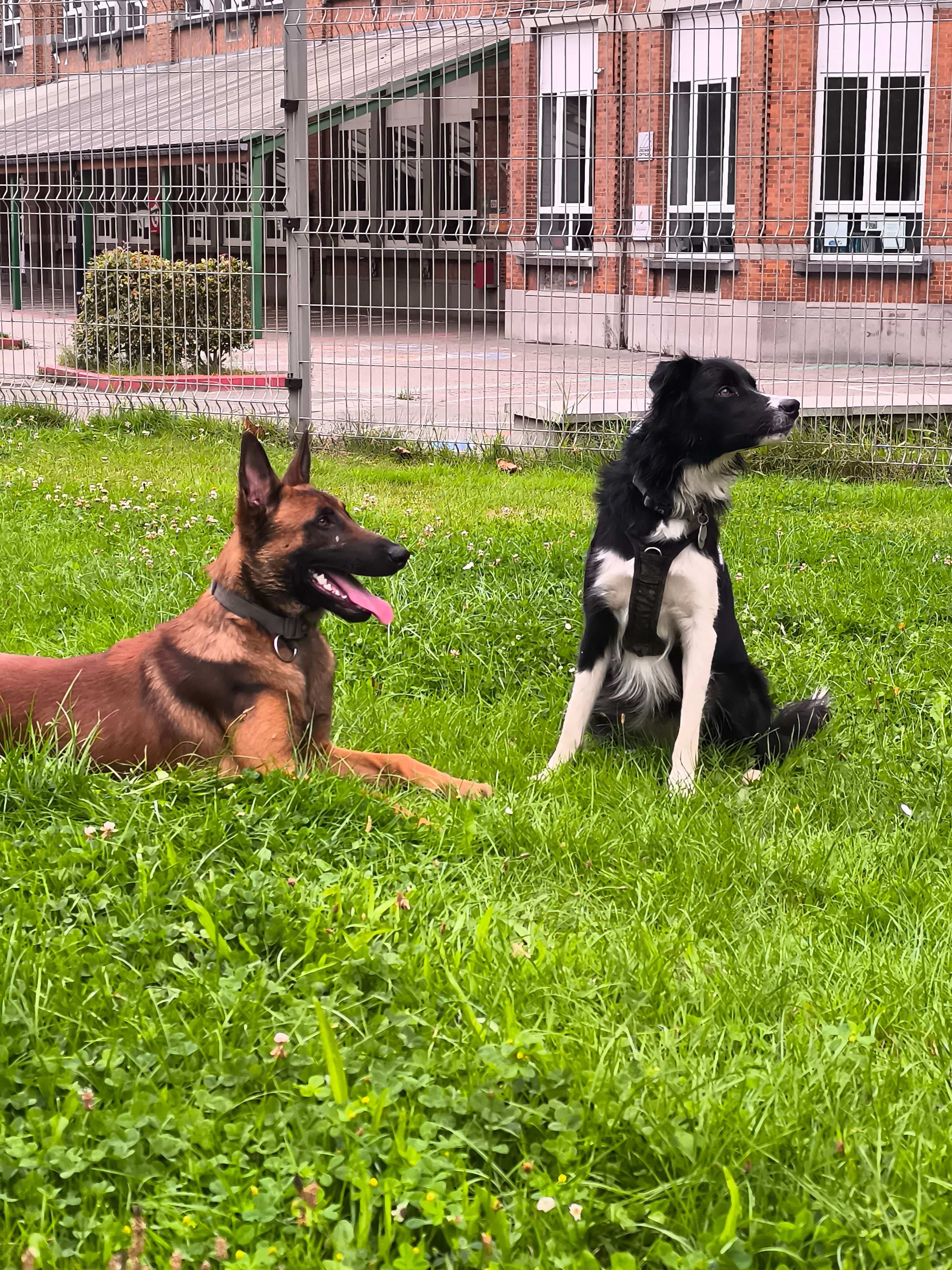 image-5