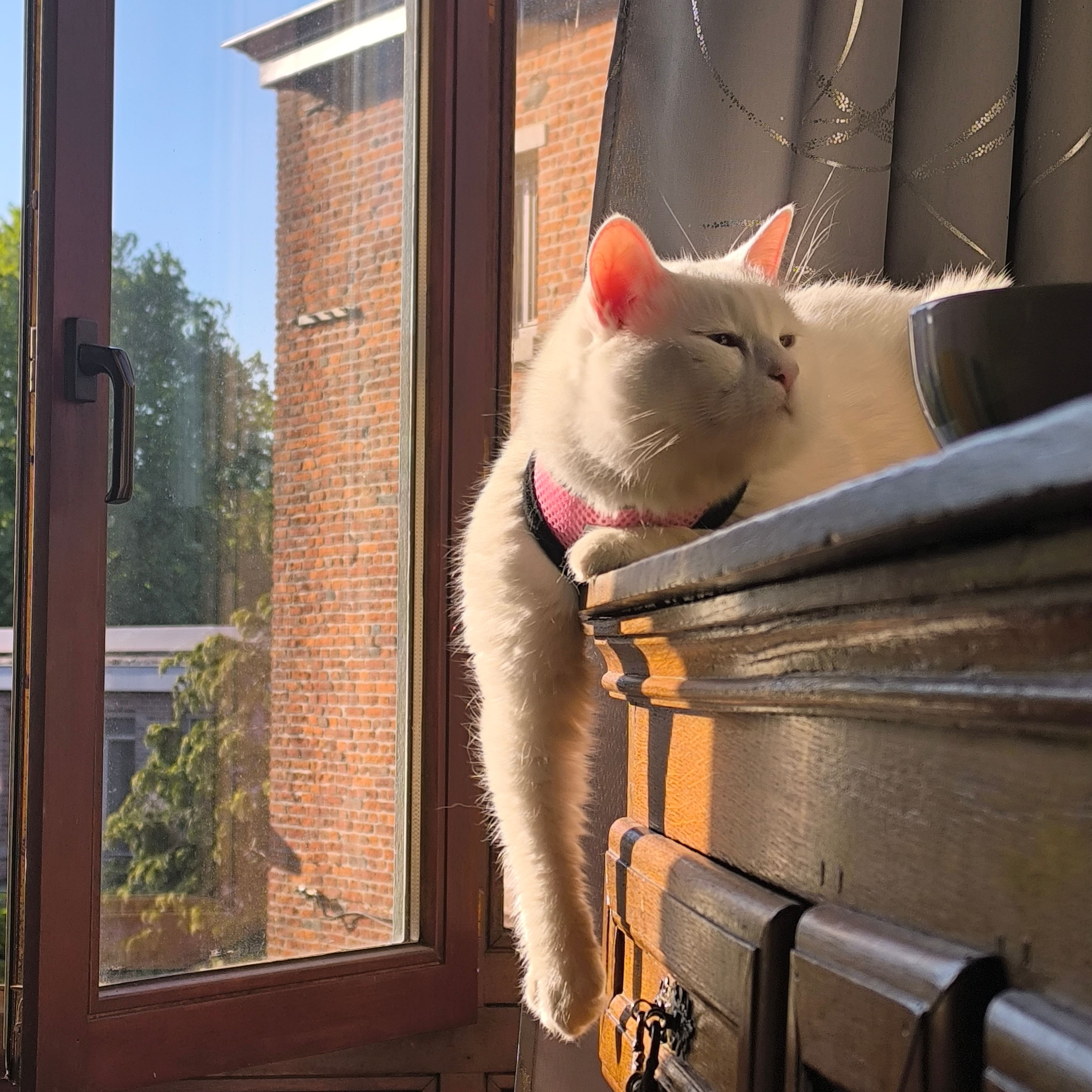 Peach