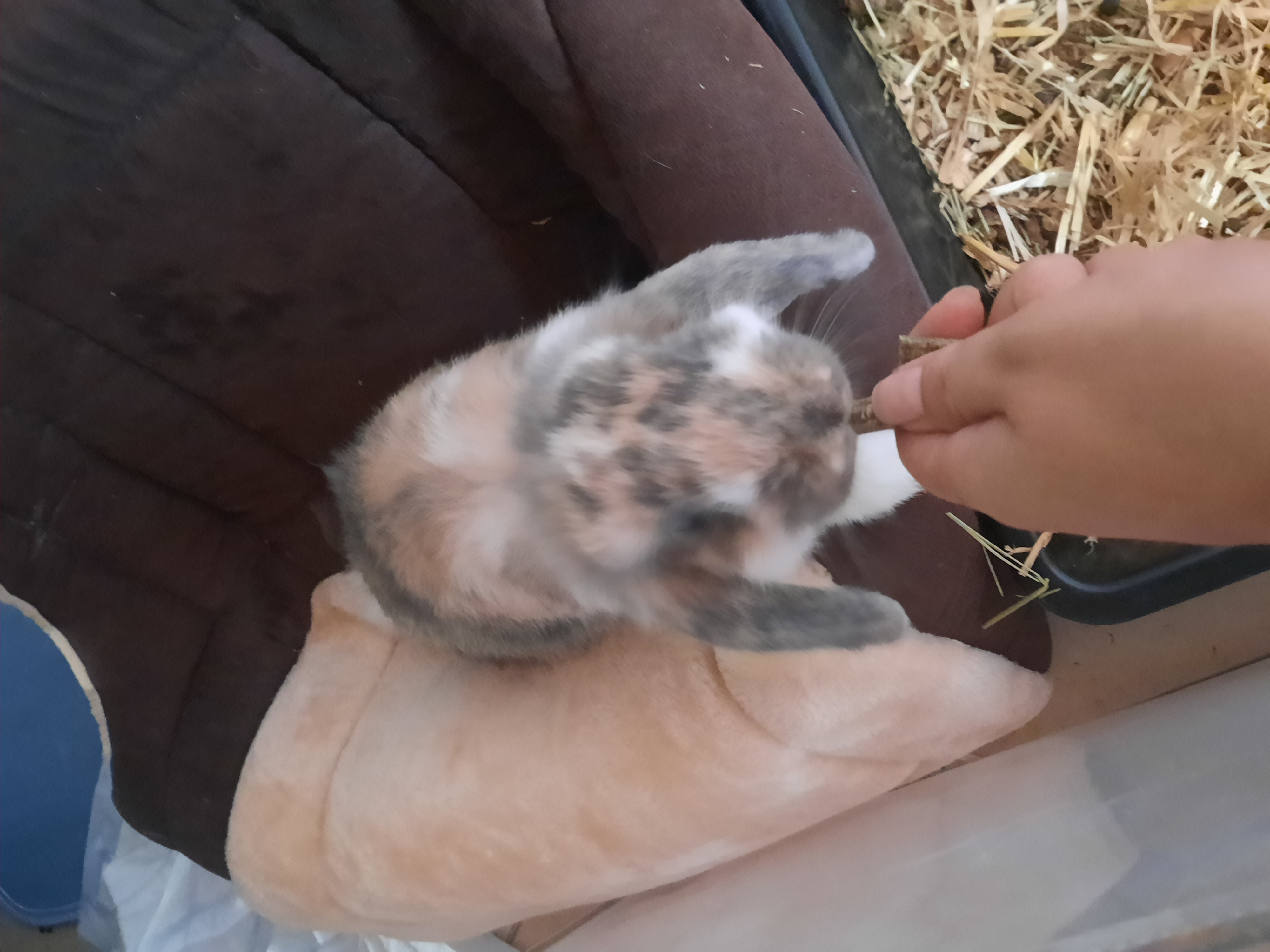 image-6