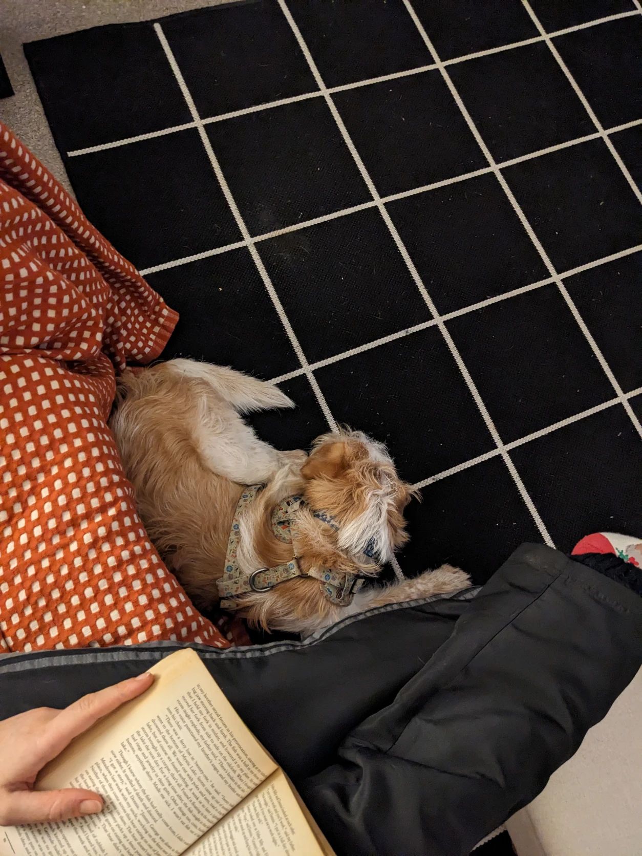 image-7