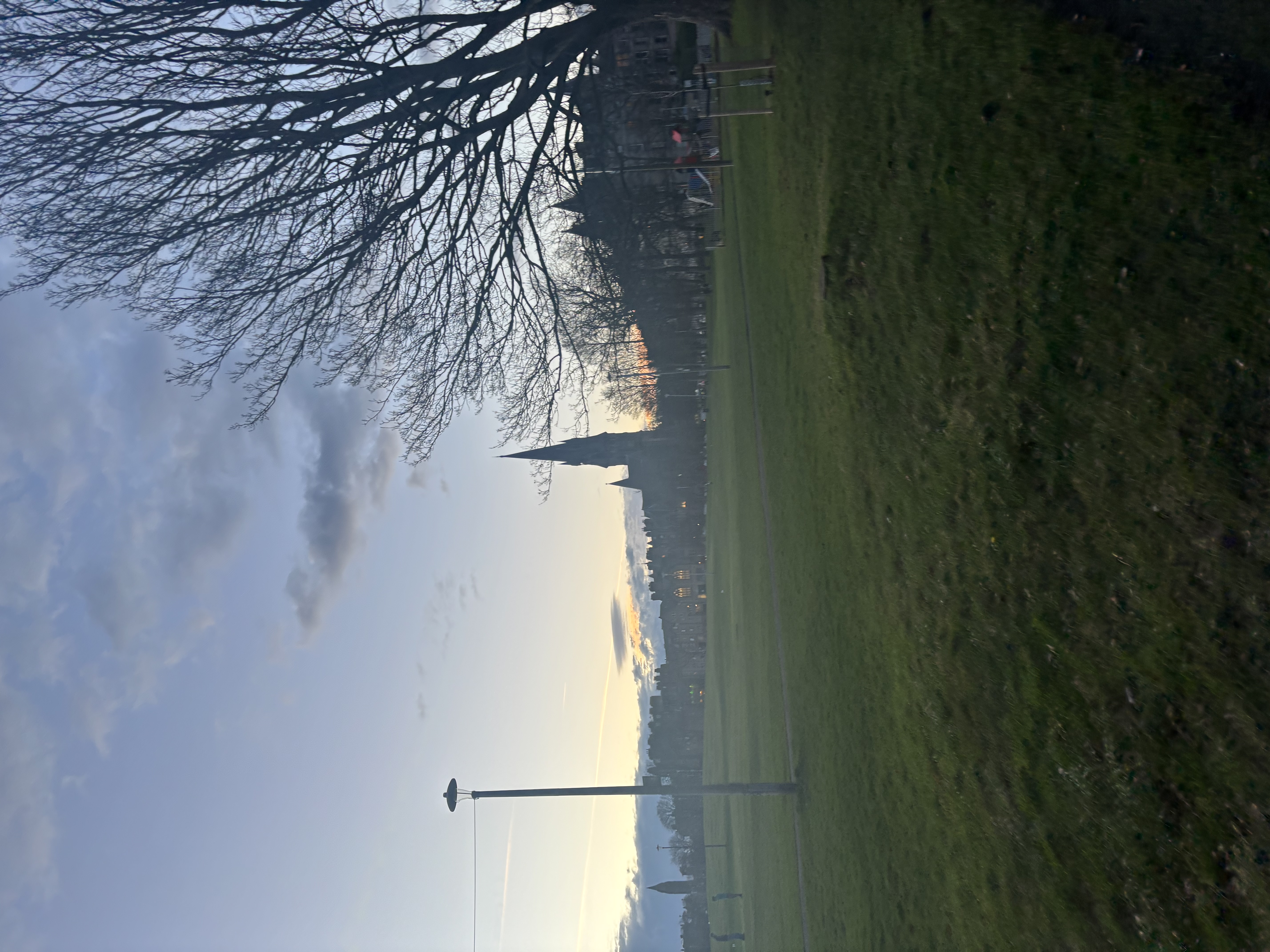image-19