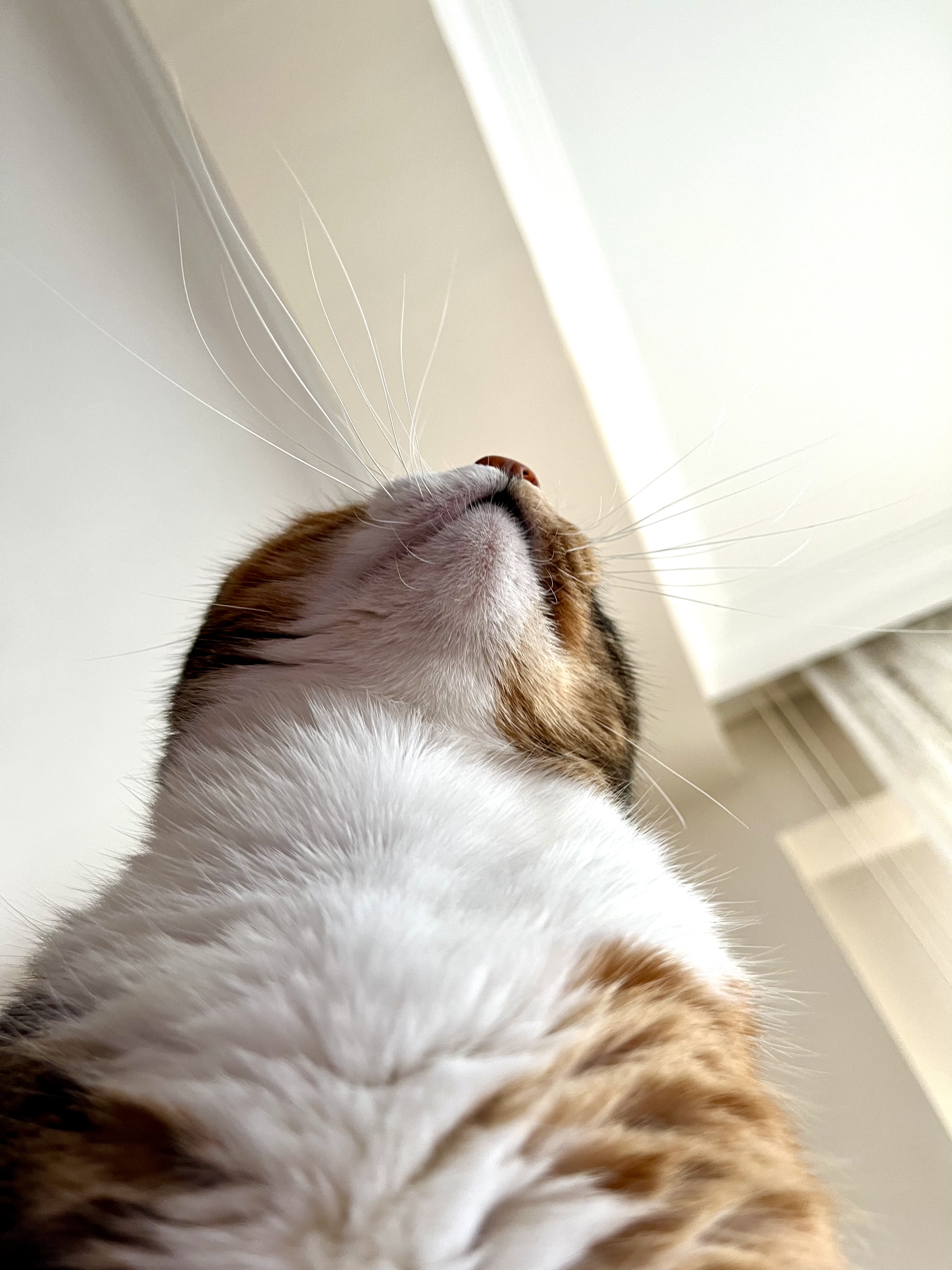 image-18