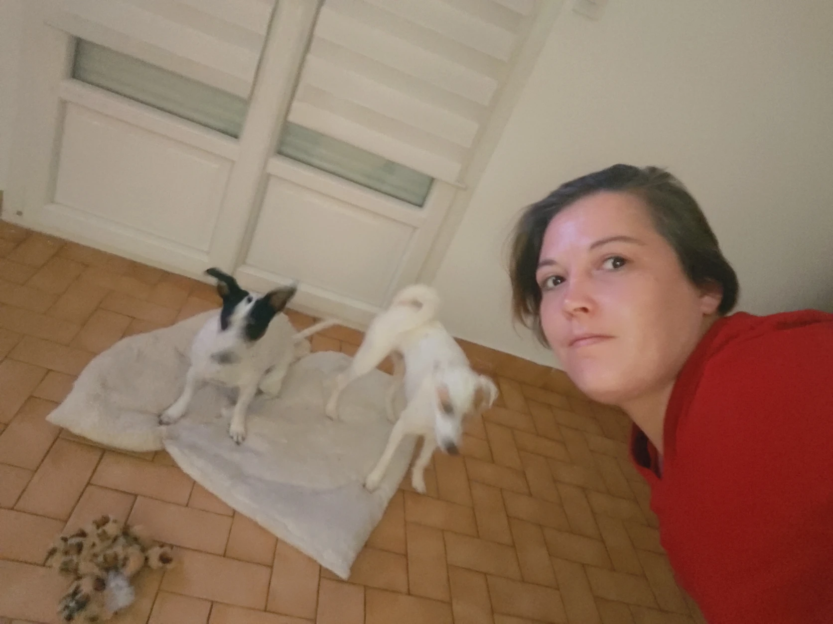 image-7