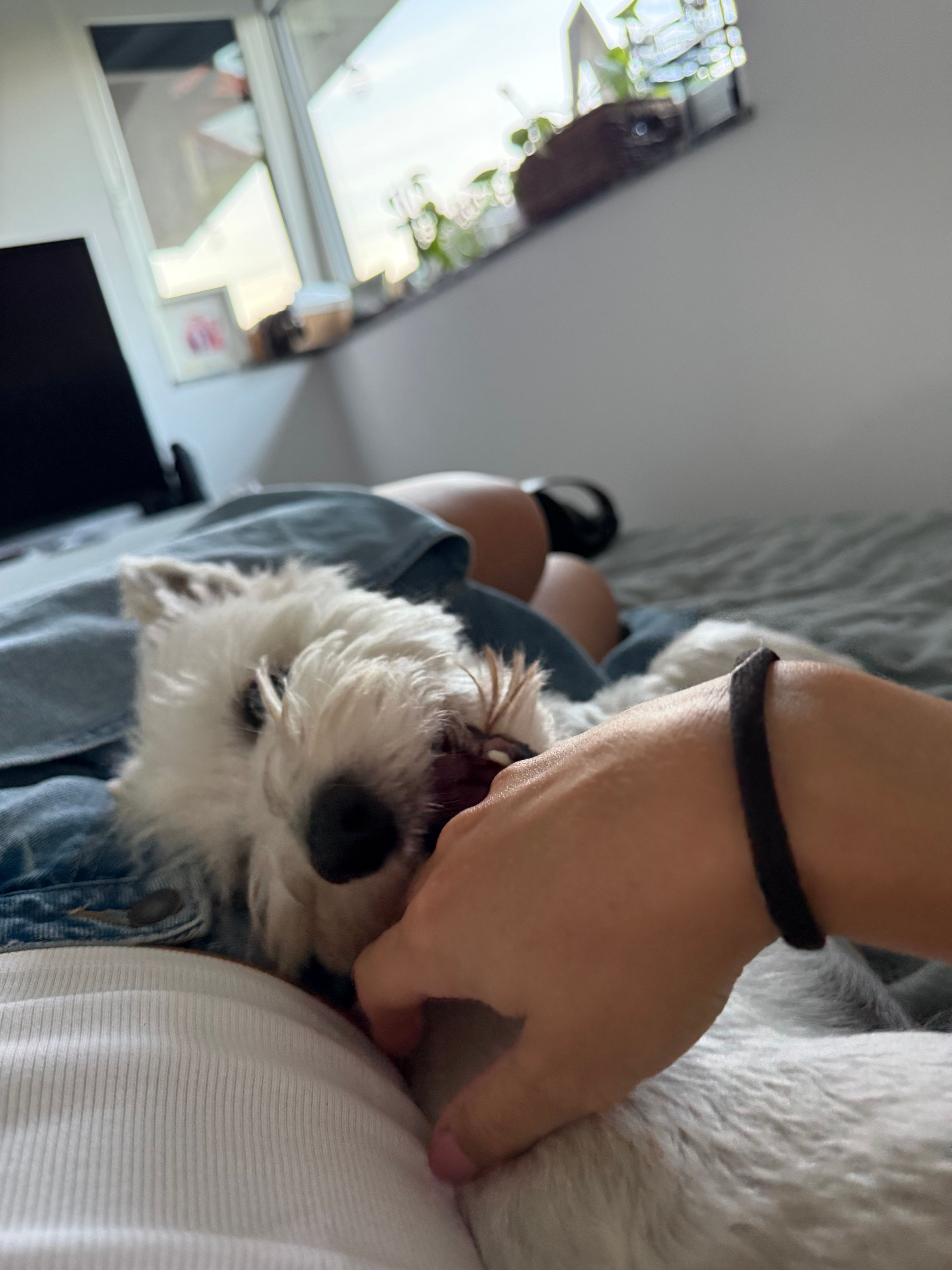 image-8