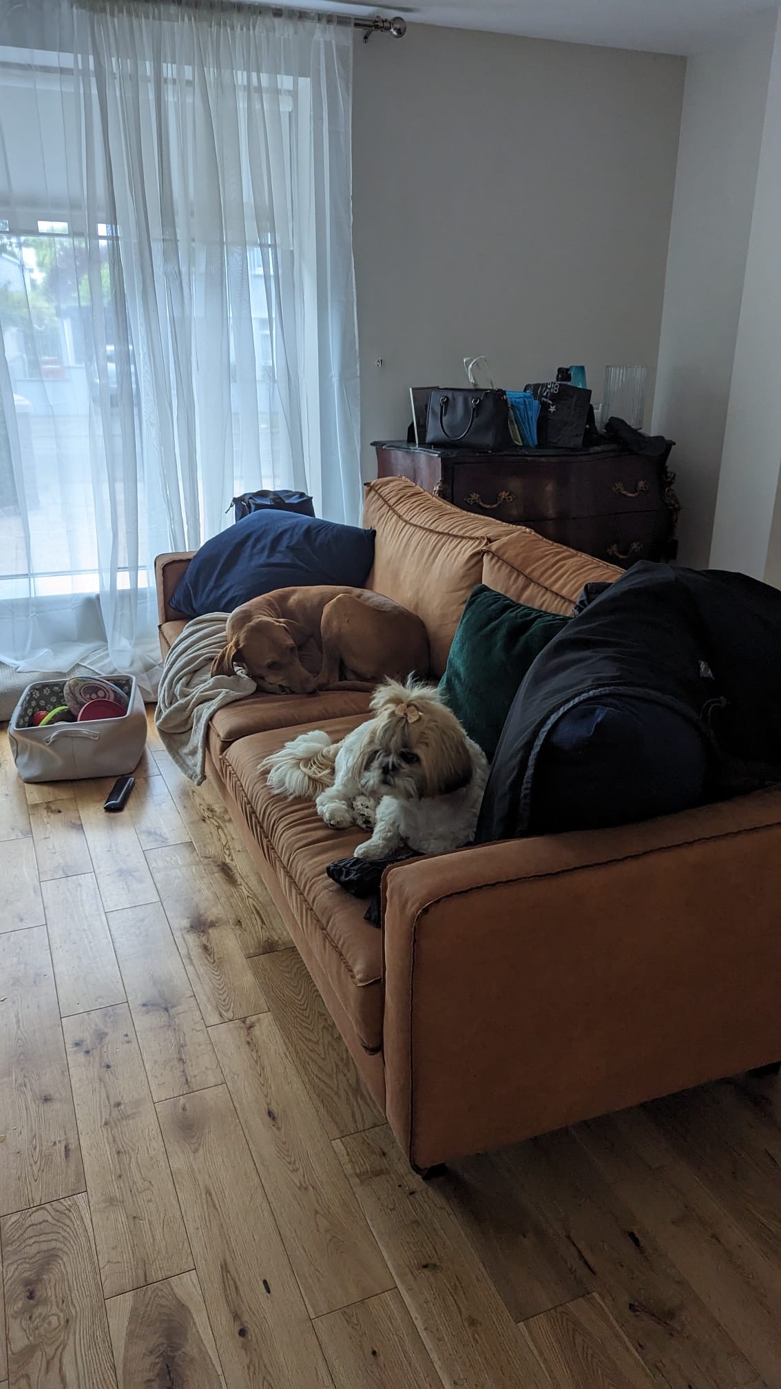 image-9