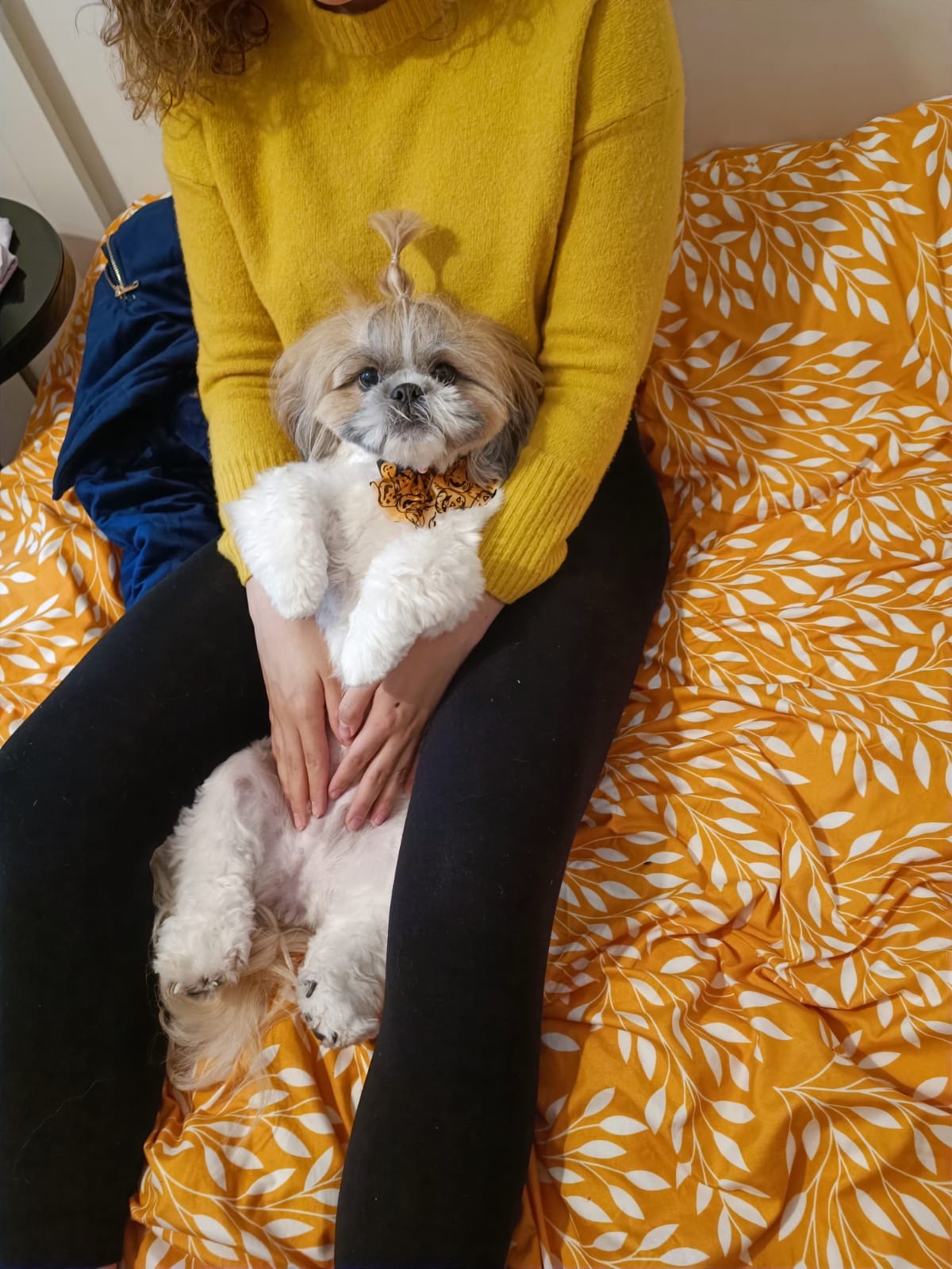 image-7