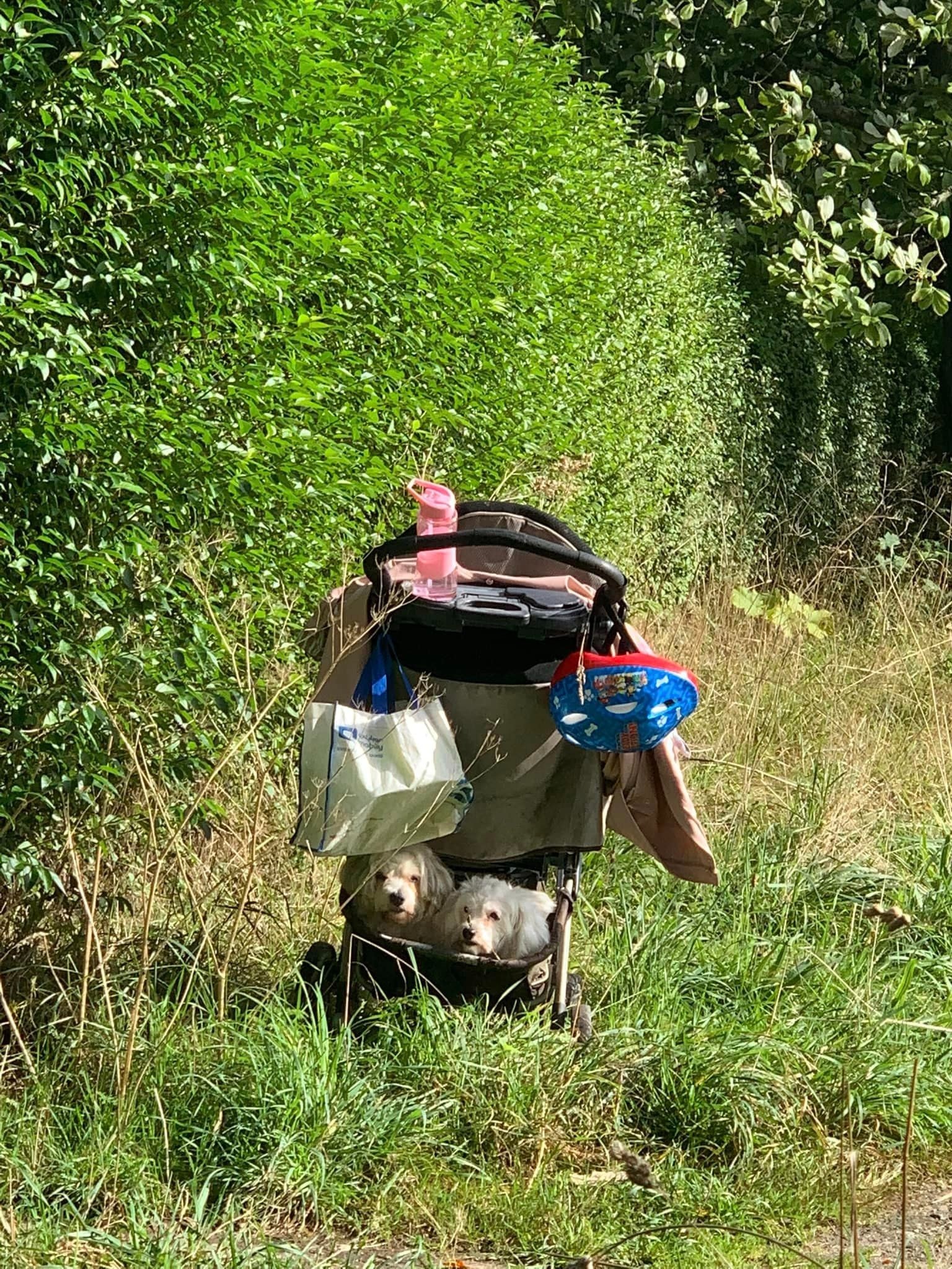image-1