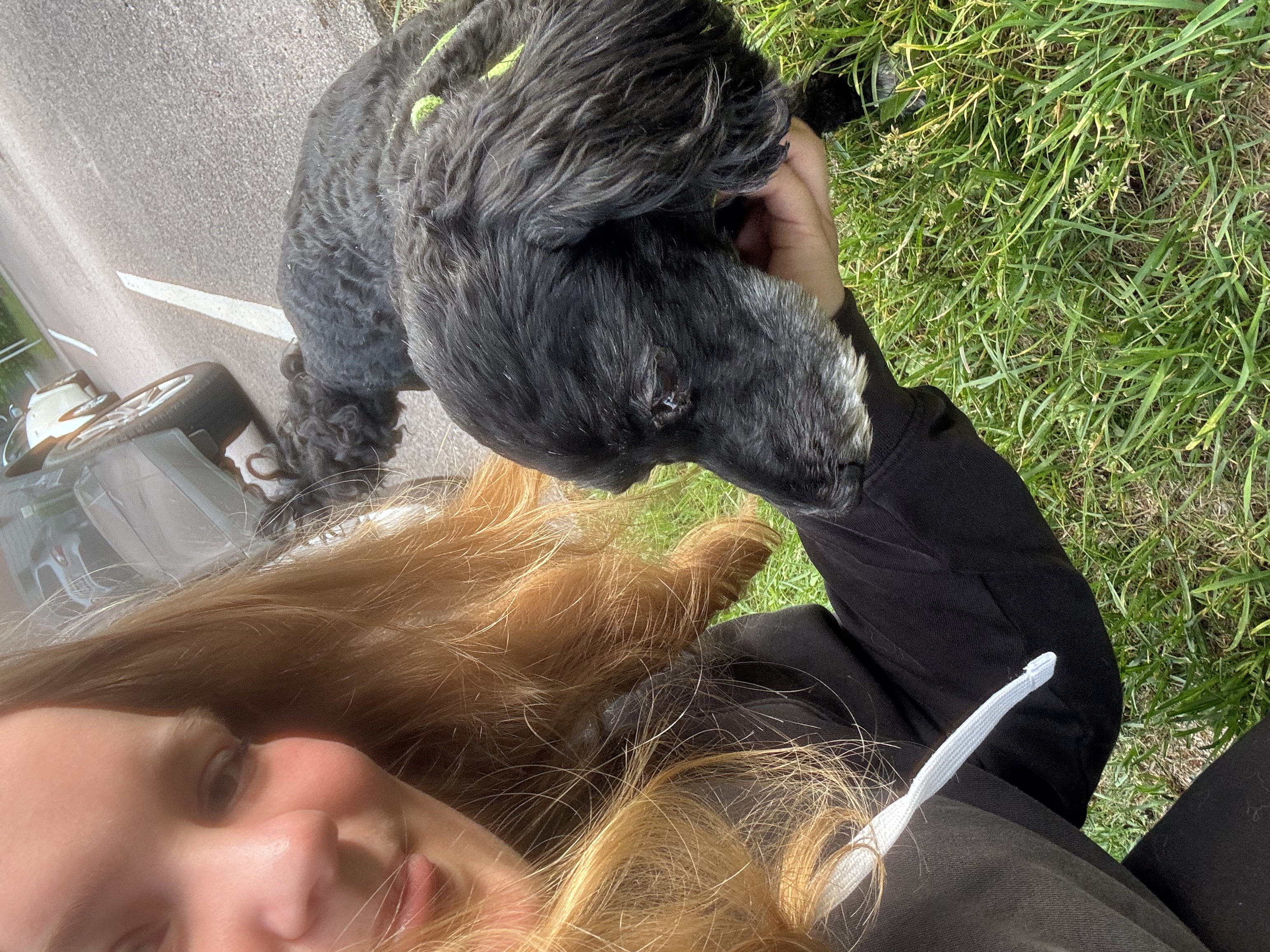 image-15