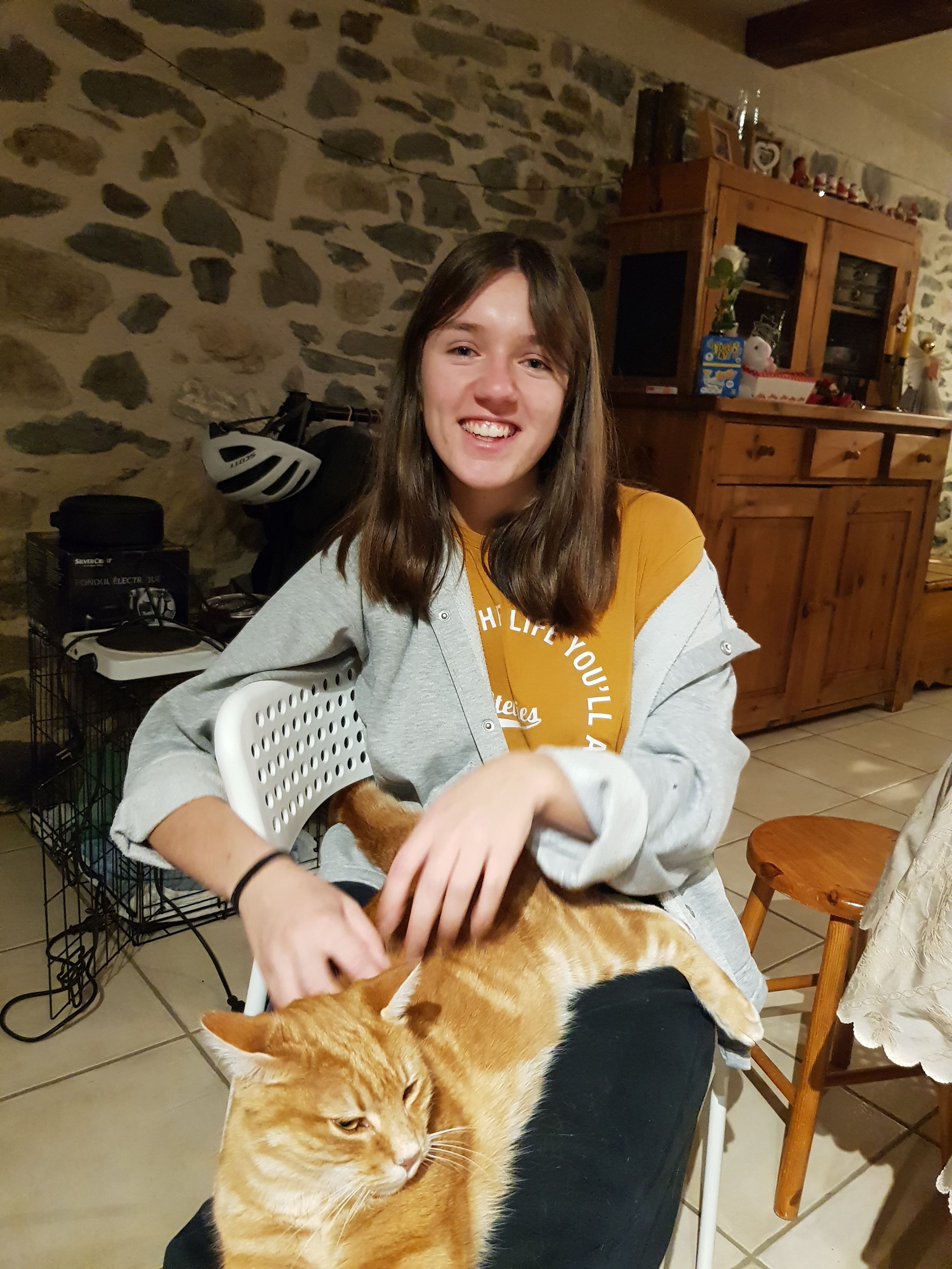 image-5