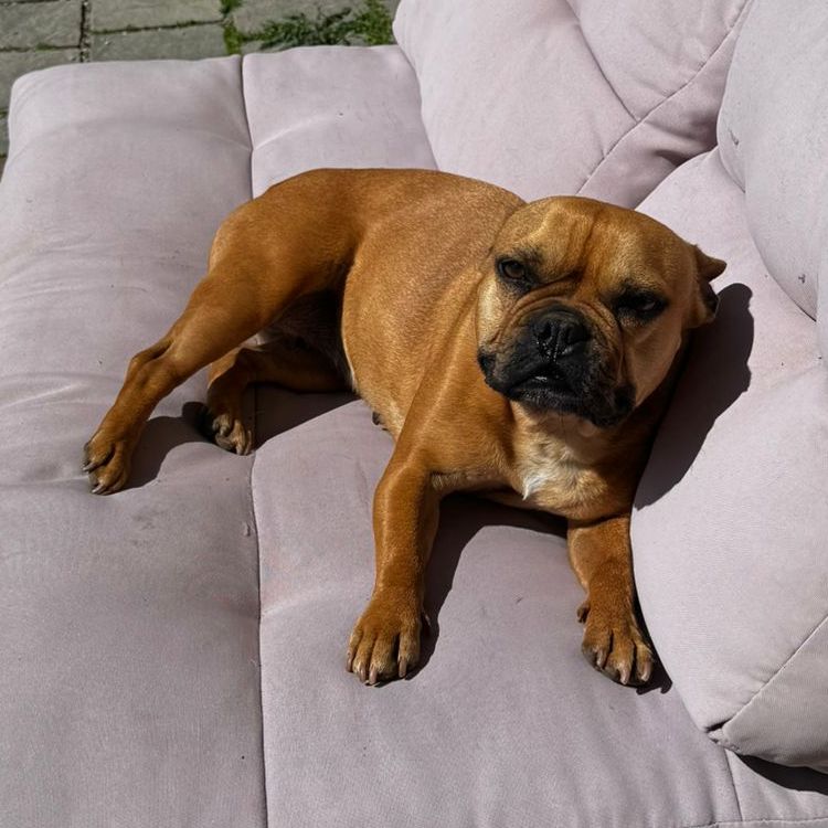 Roxy