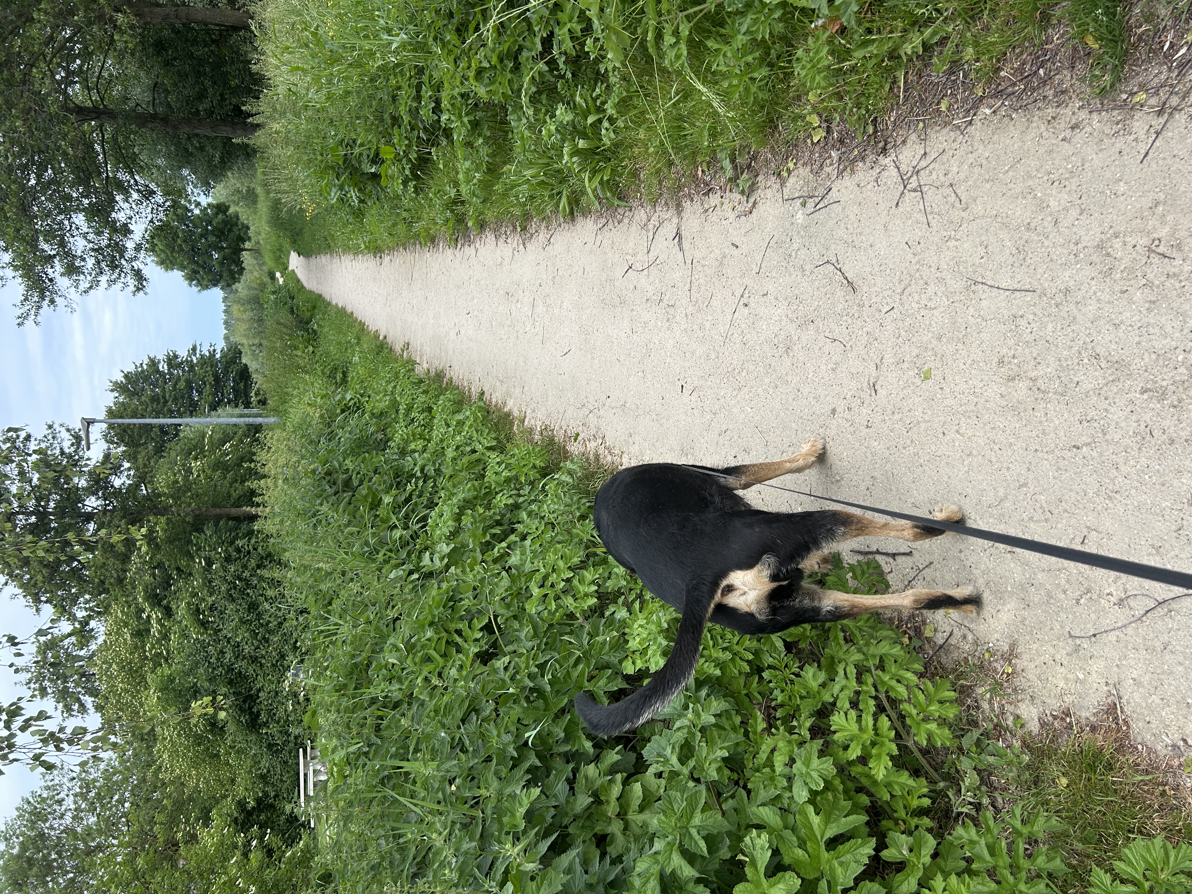 image-9