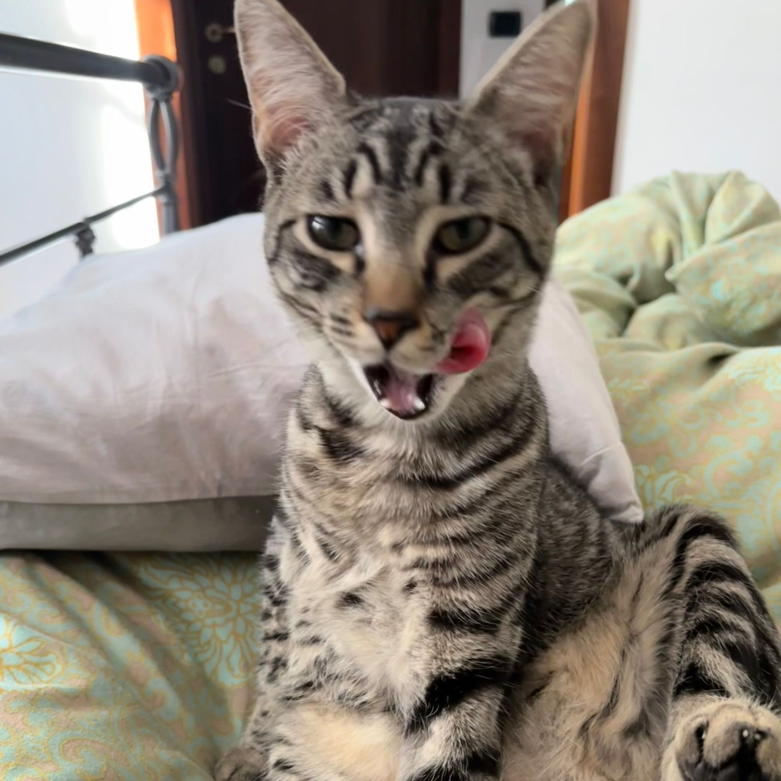 Leopoldo