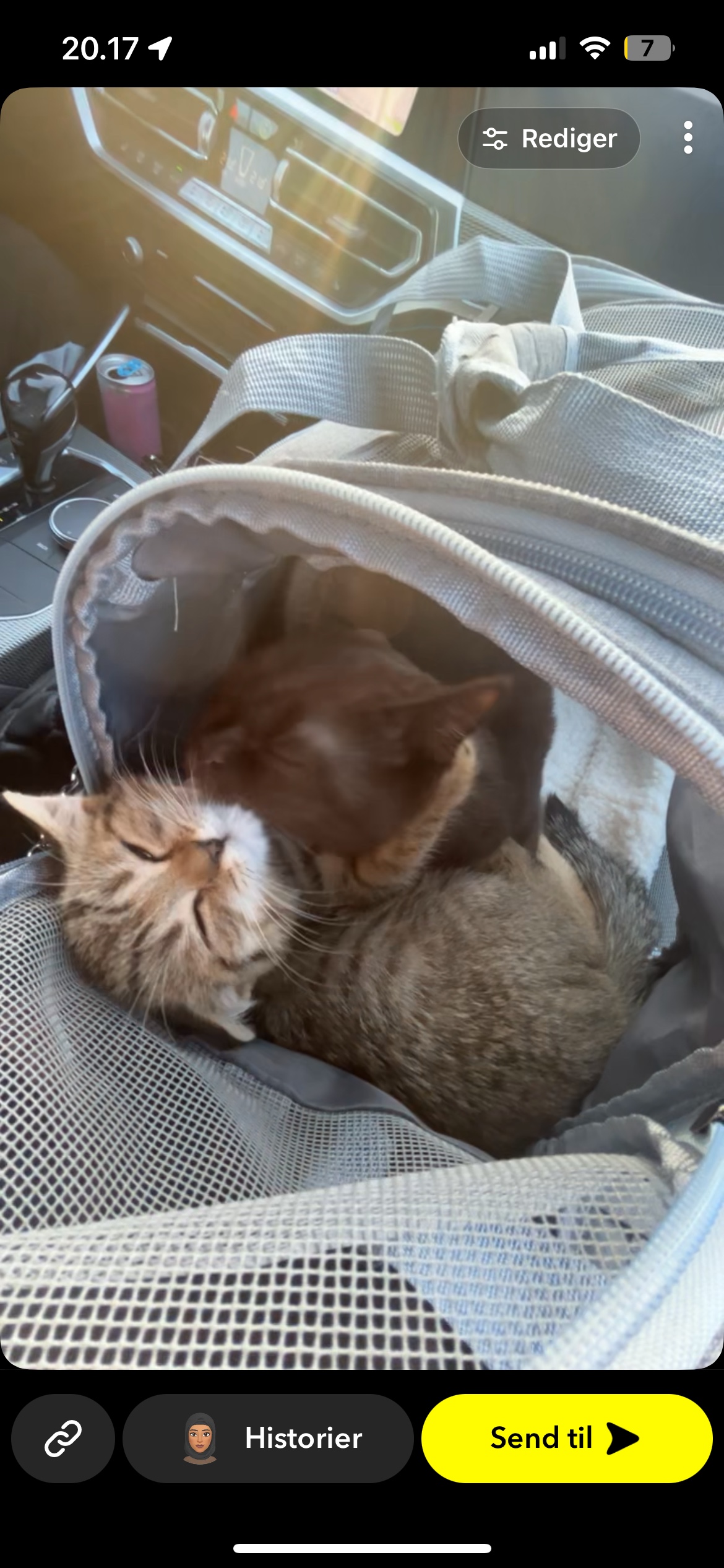 image-8