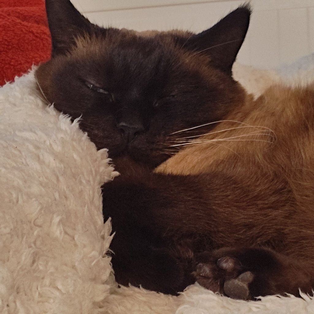 Zoe