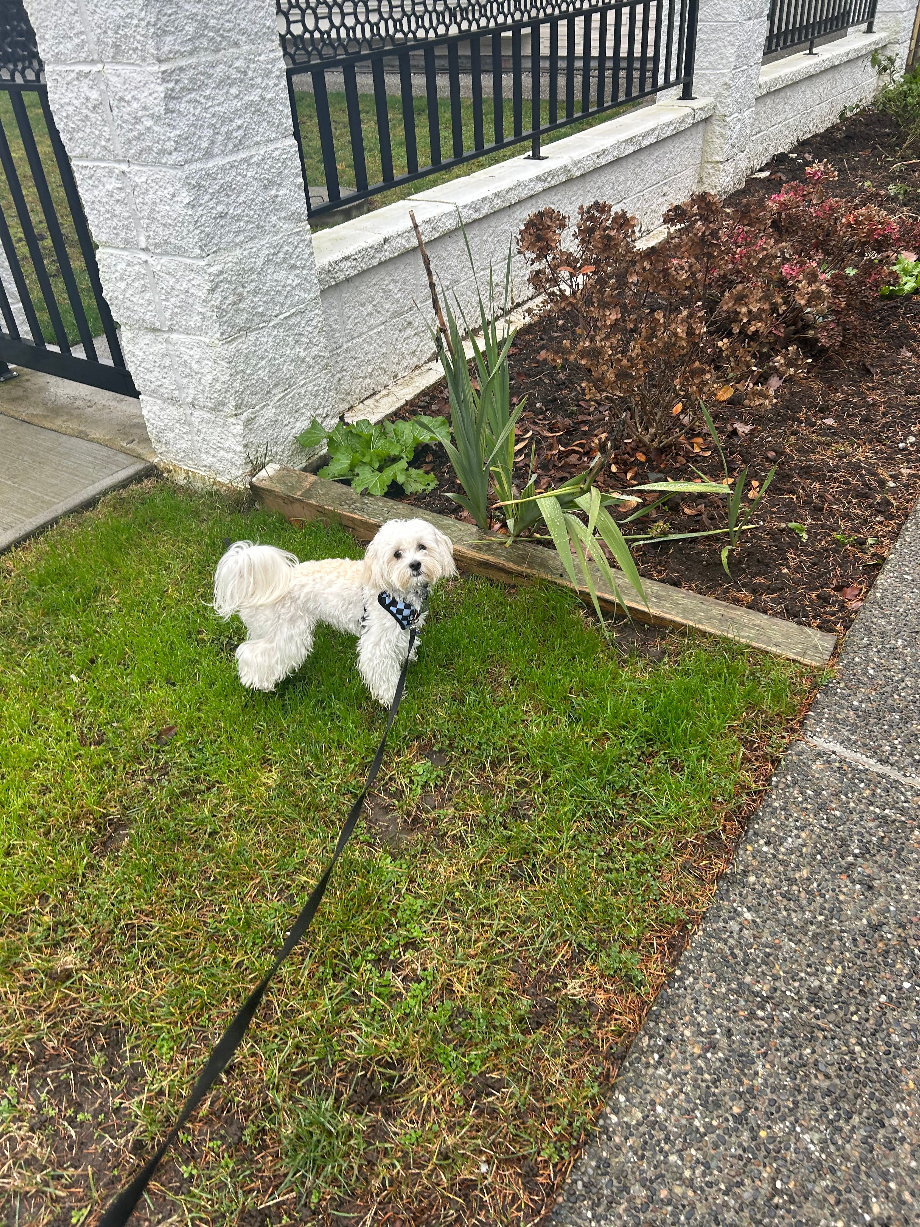image-27