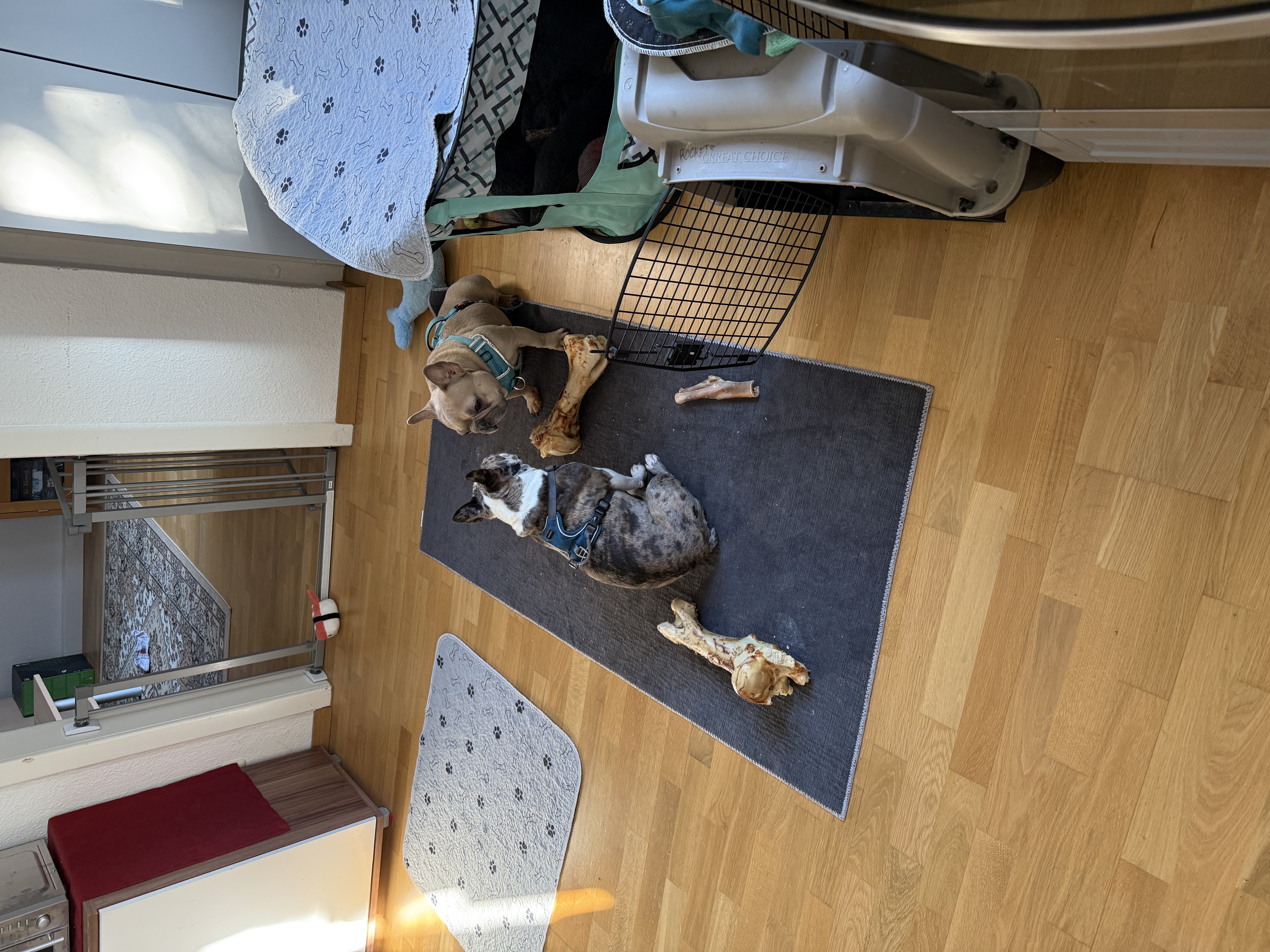 image-7