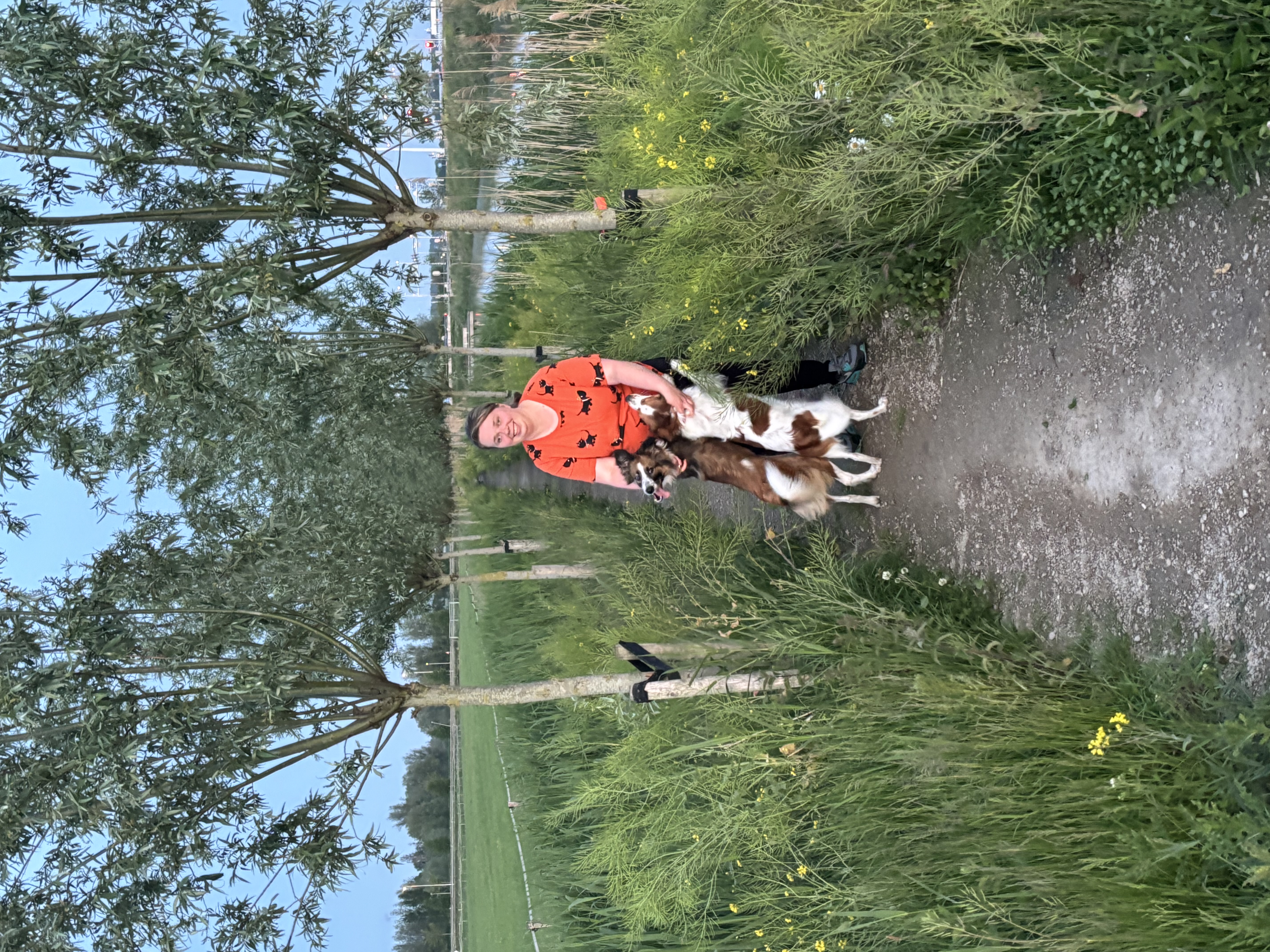 image-6
