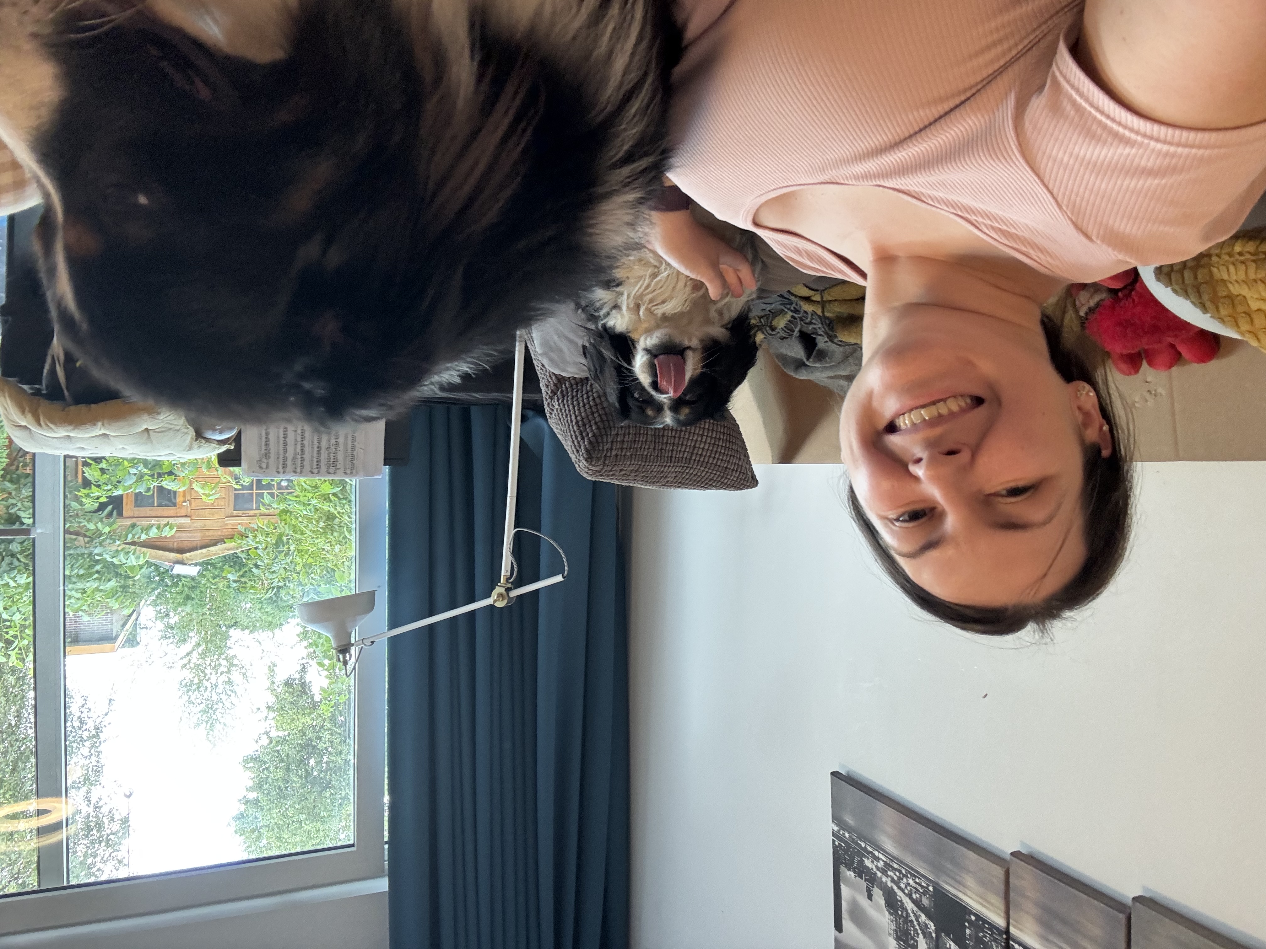 image-12