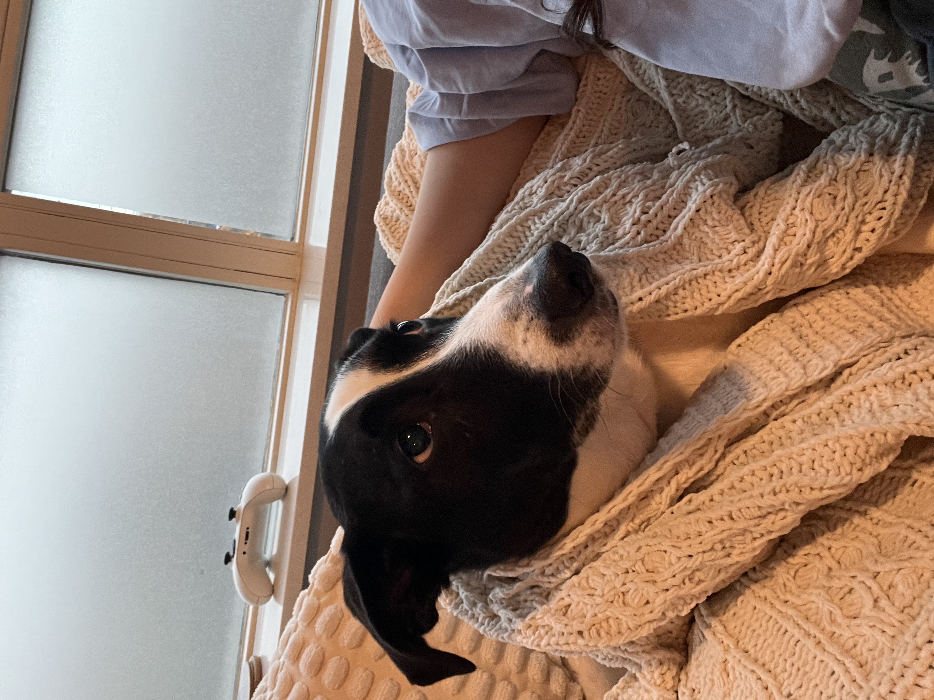 image-6