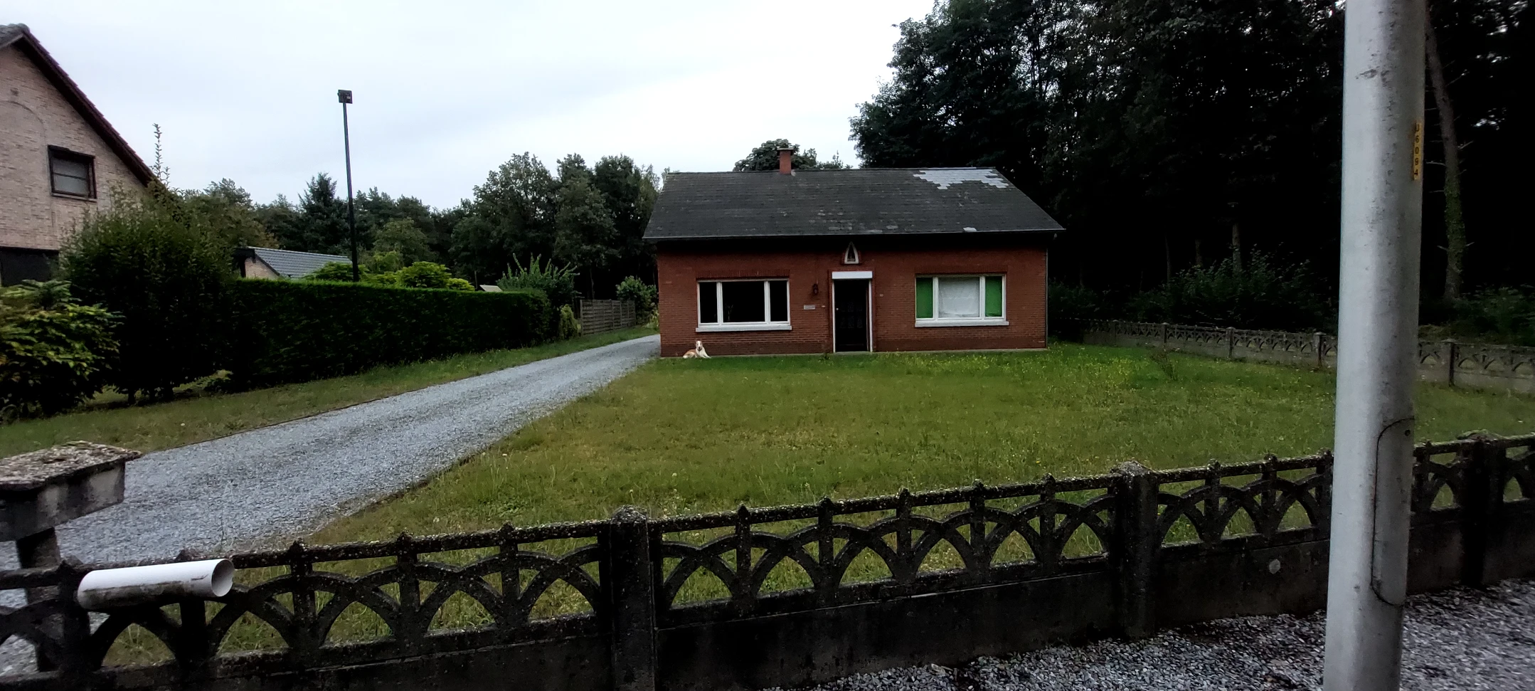 image-11