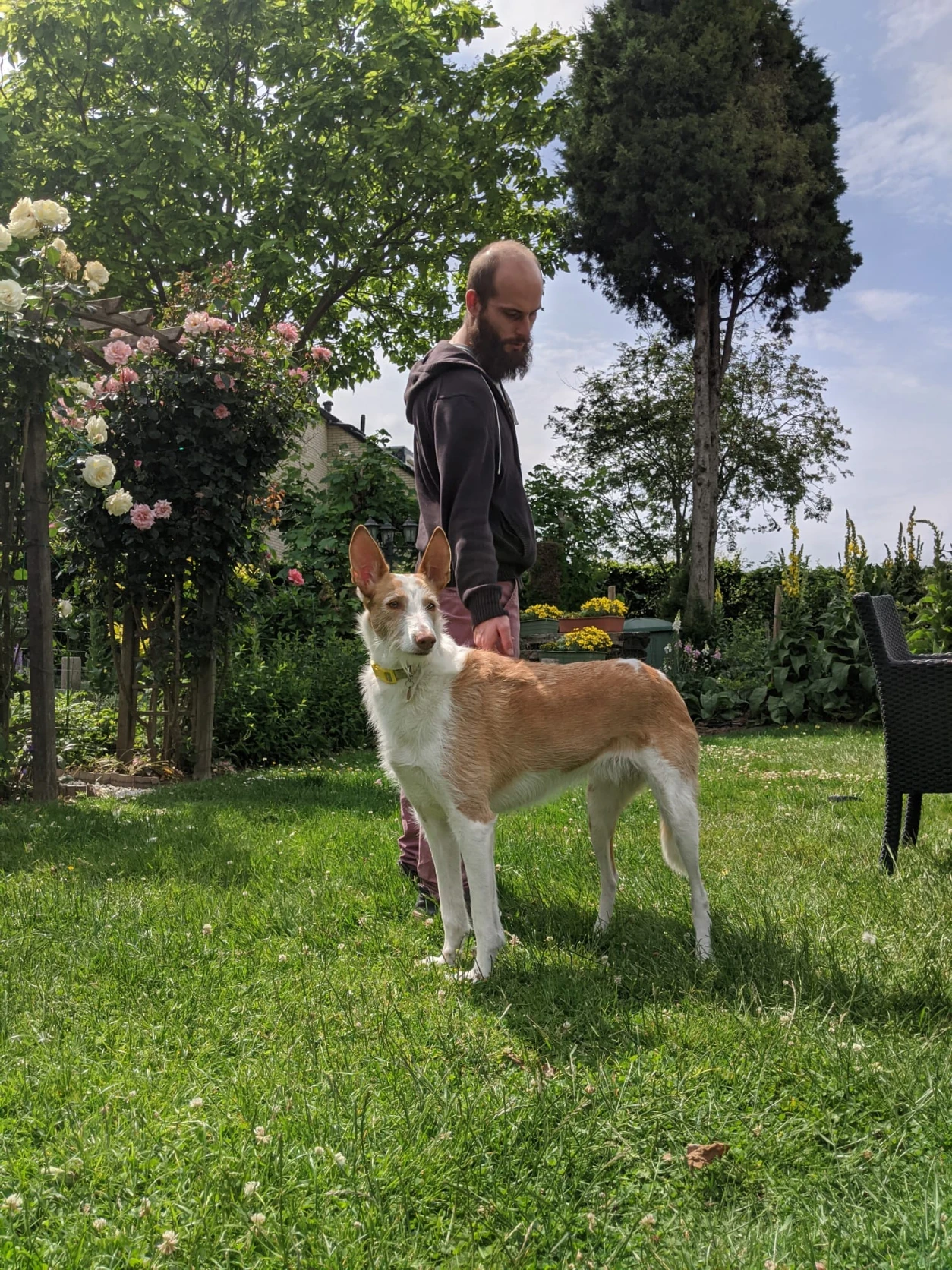 image-7
