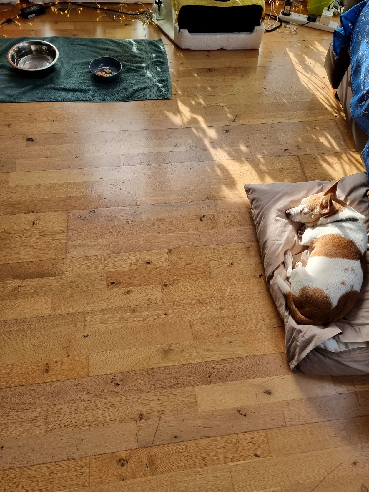 image-16