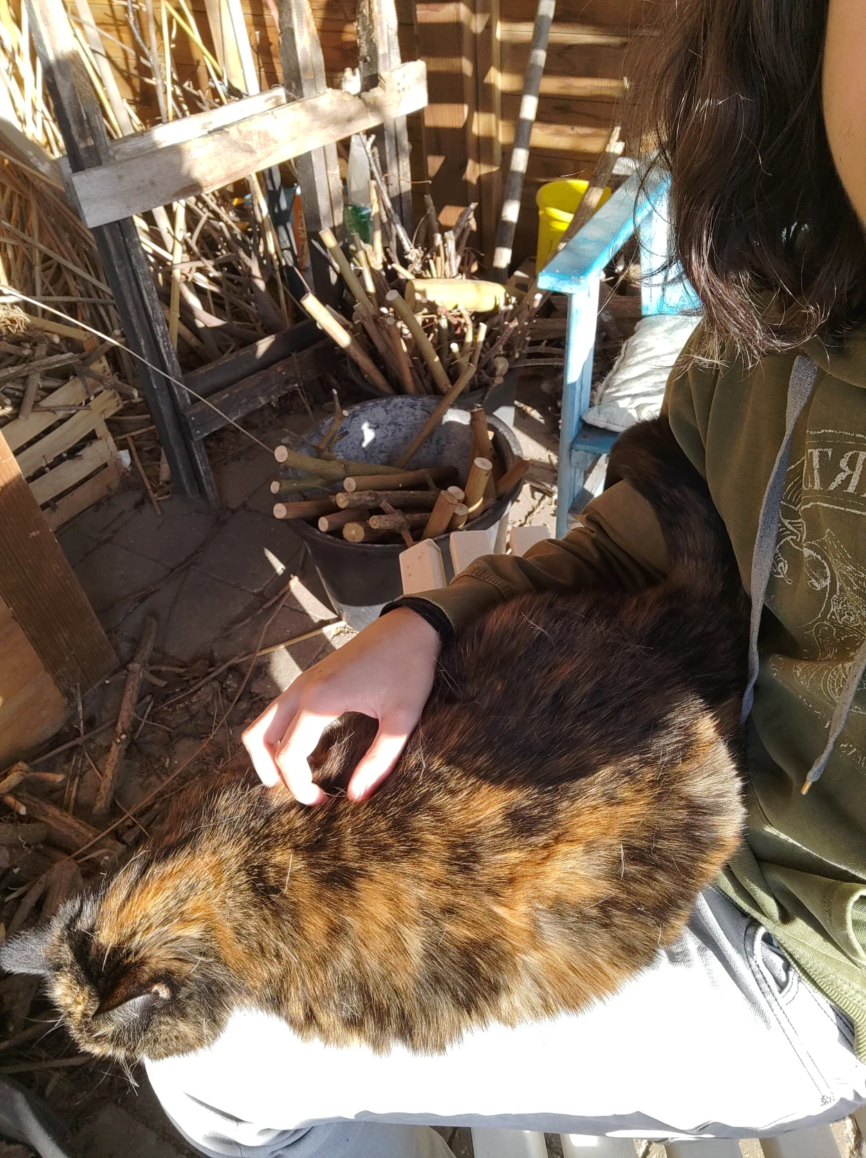 image-6