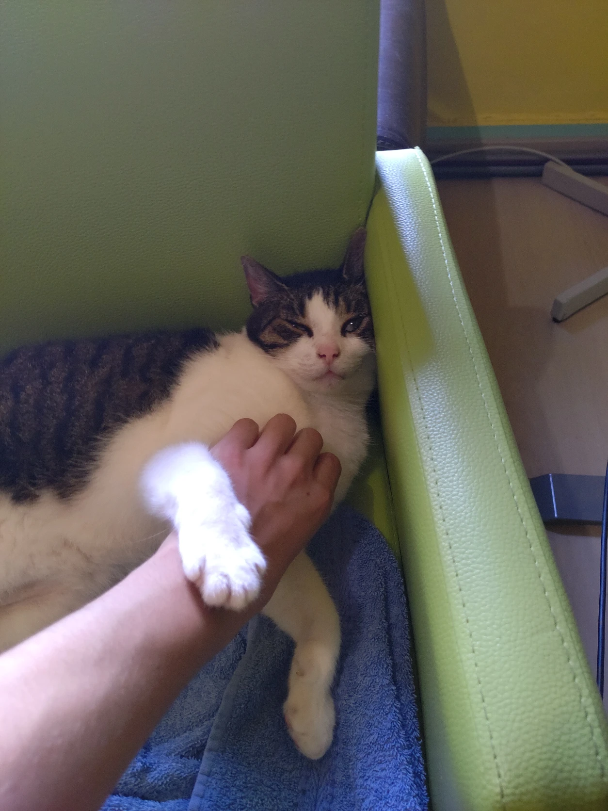 image-8