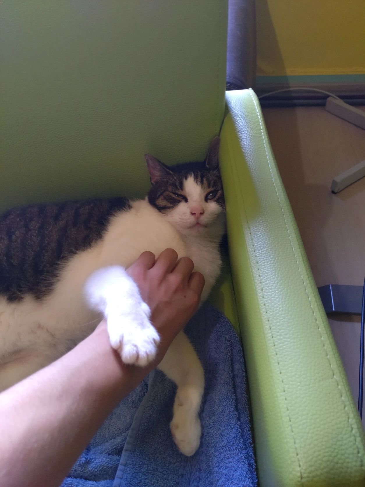 image-8