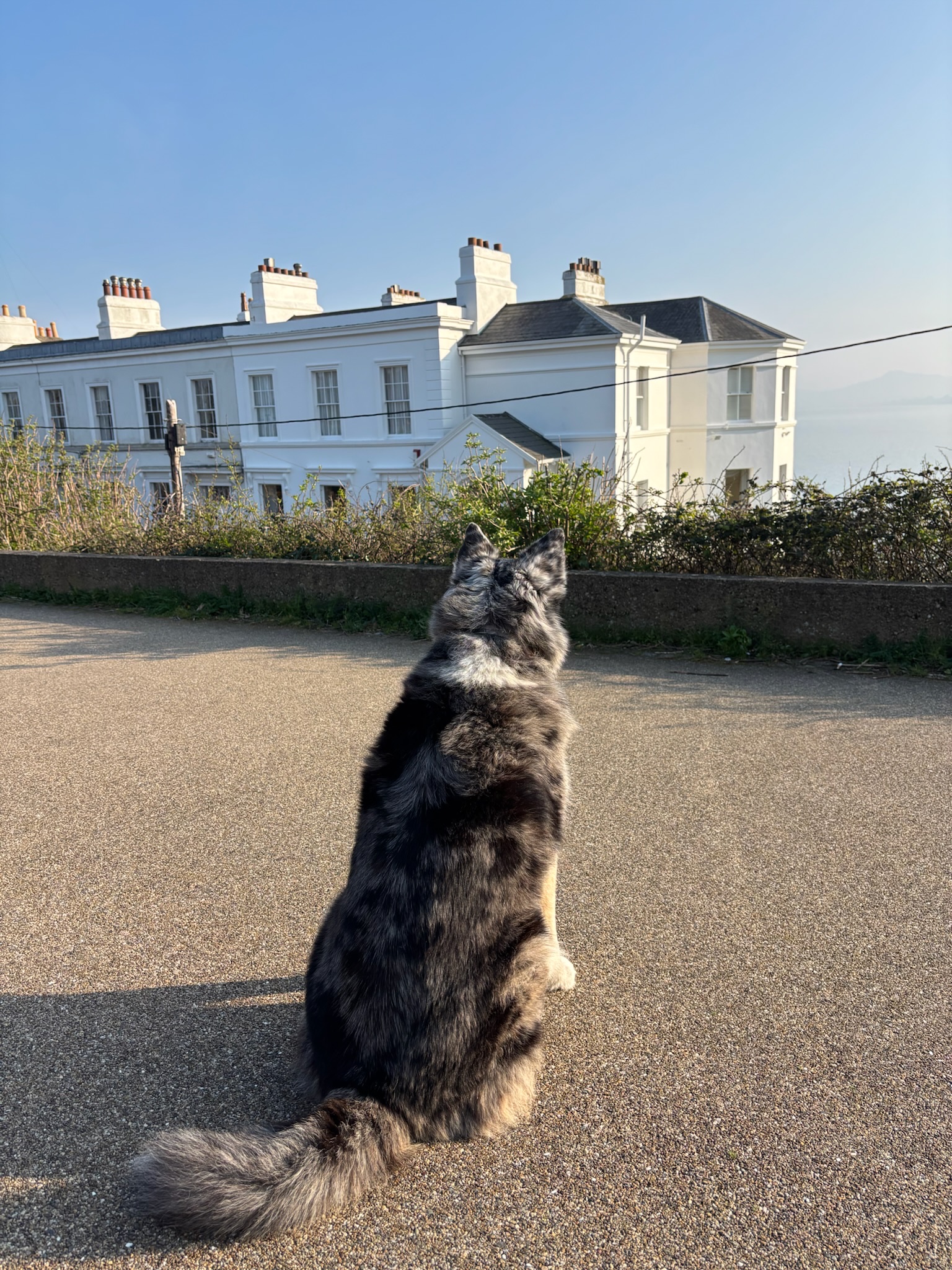 image-8