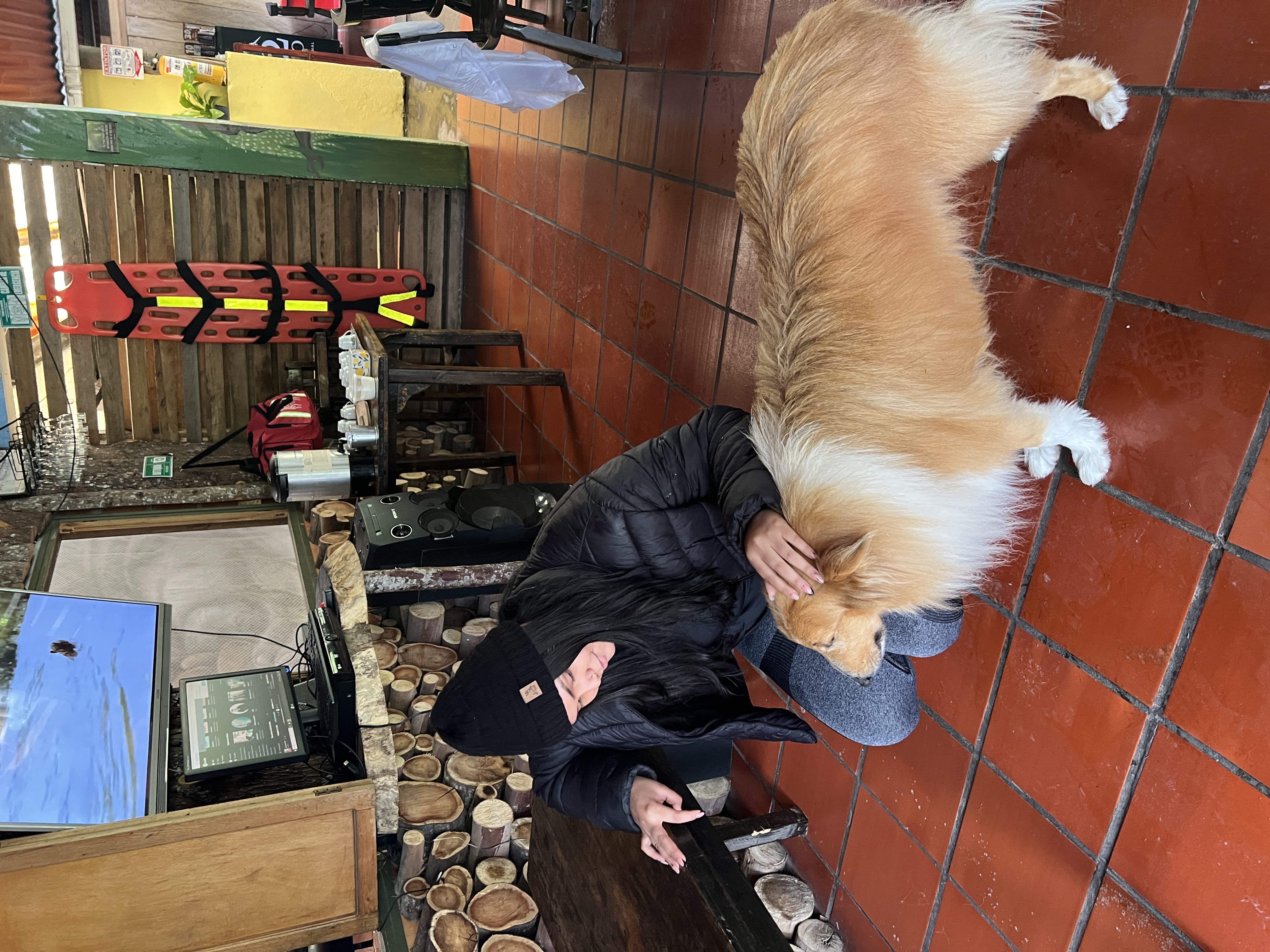 image-12