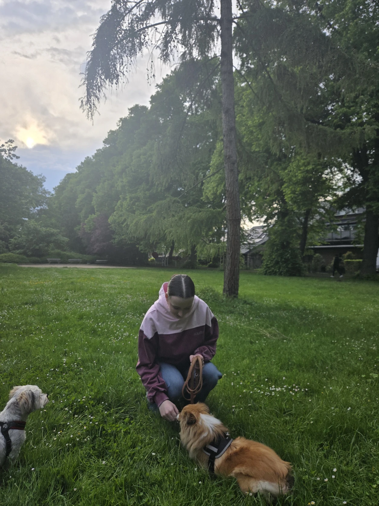image-5