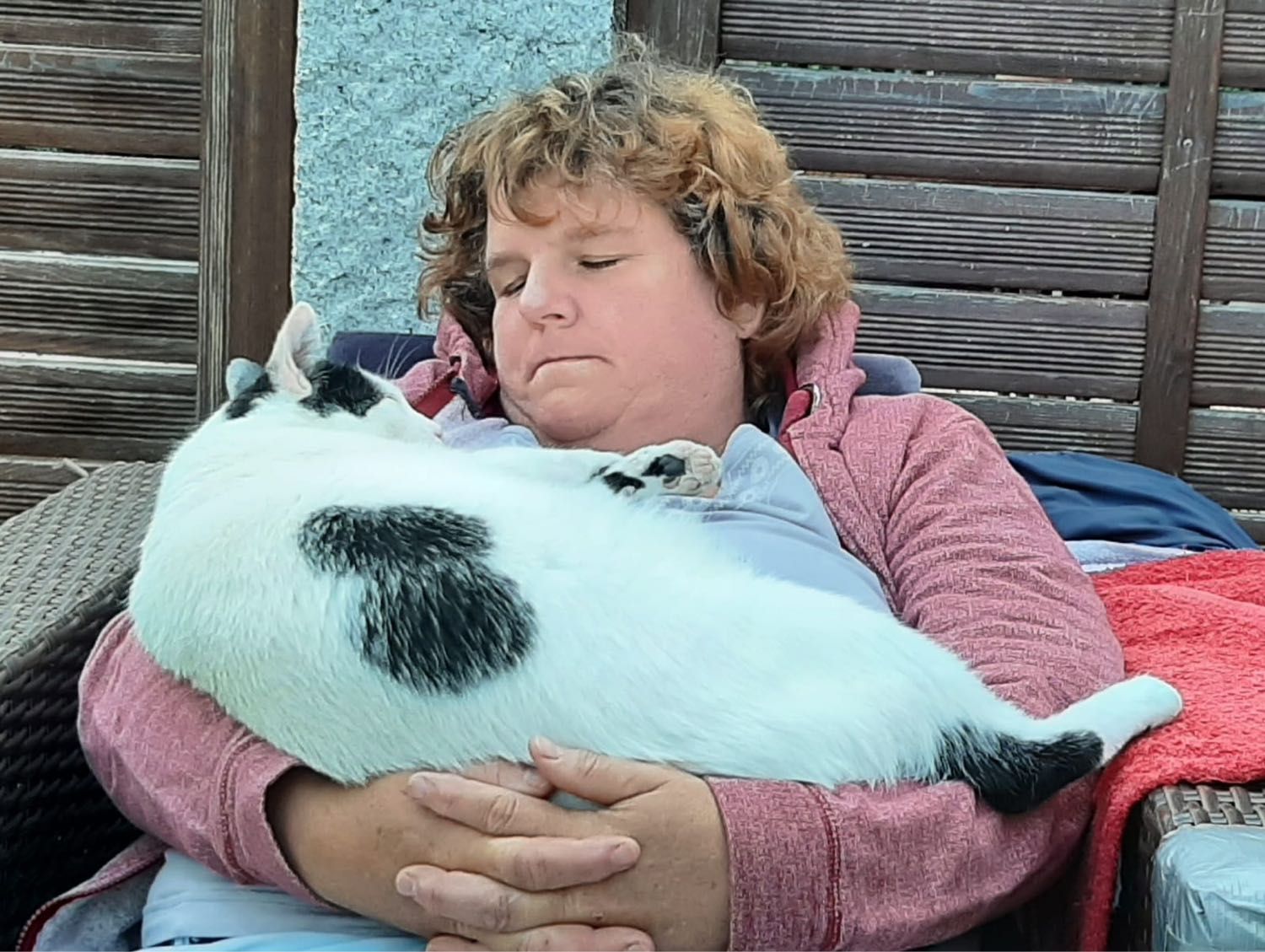 image-27