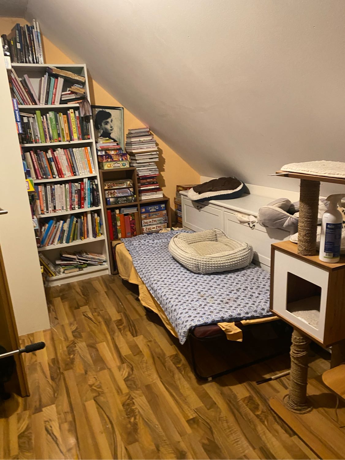 image-42