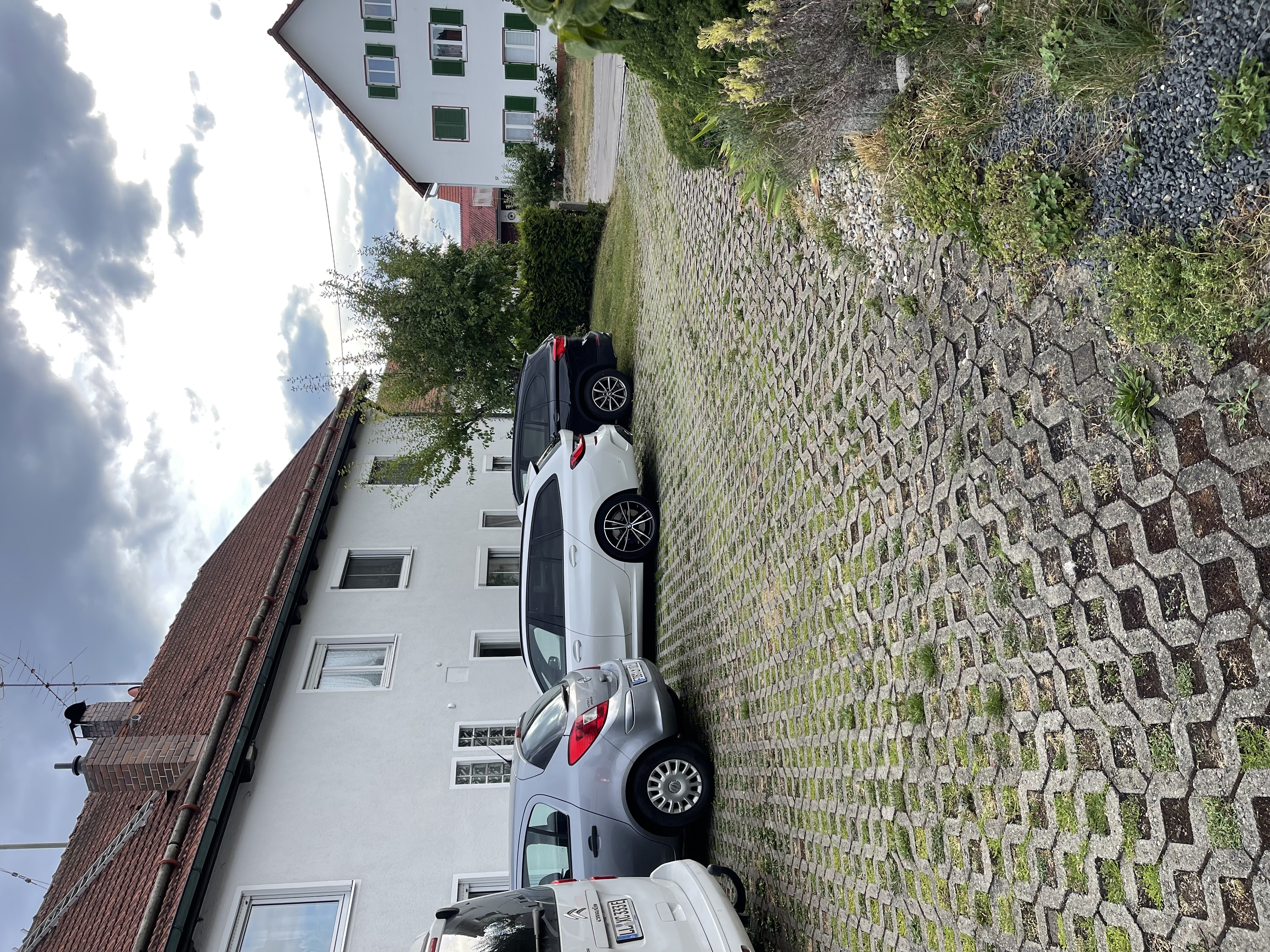 image-19
