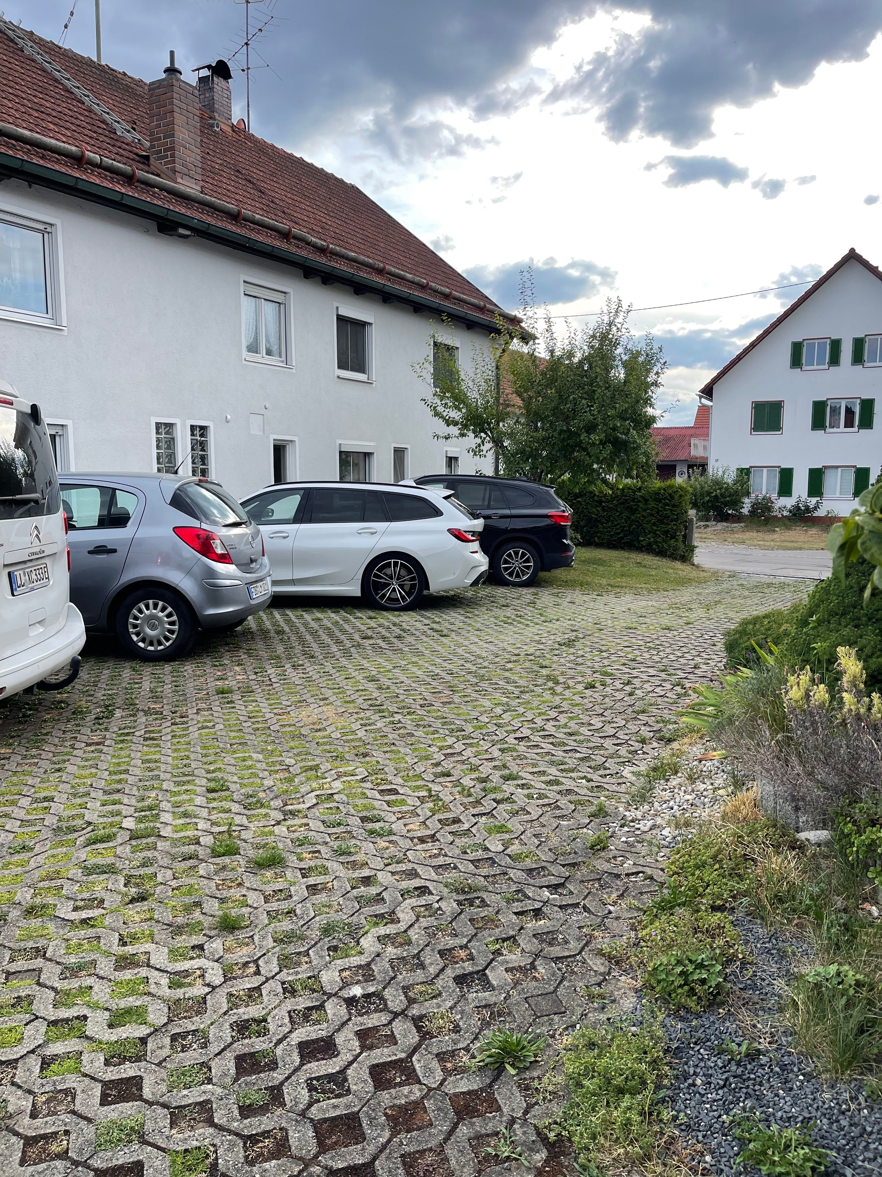 image-19
