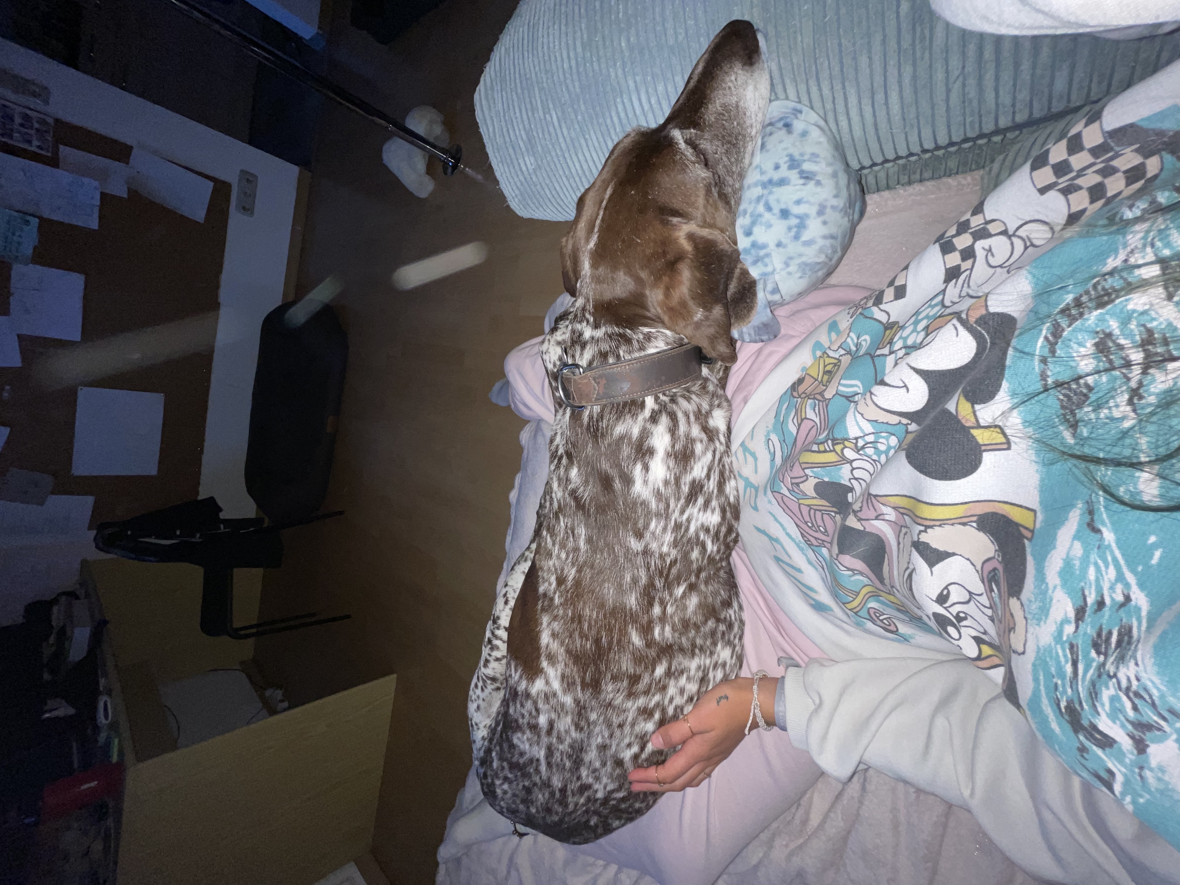 image-6
