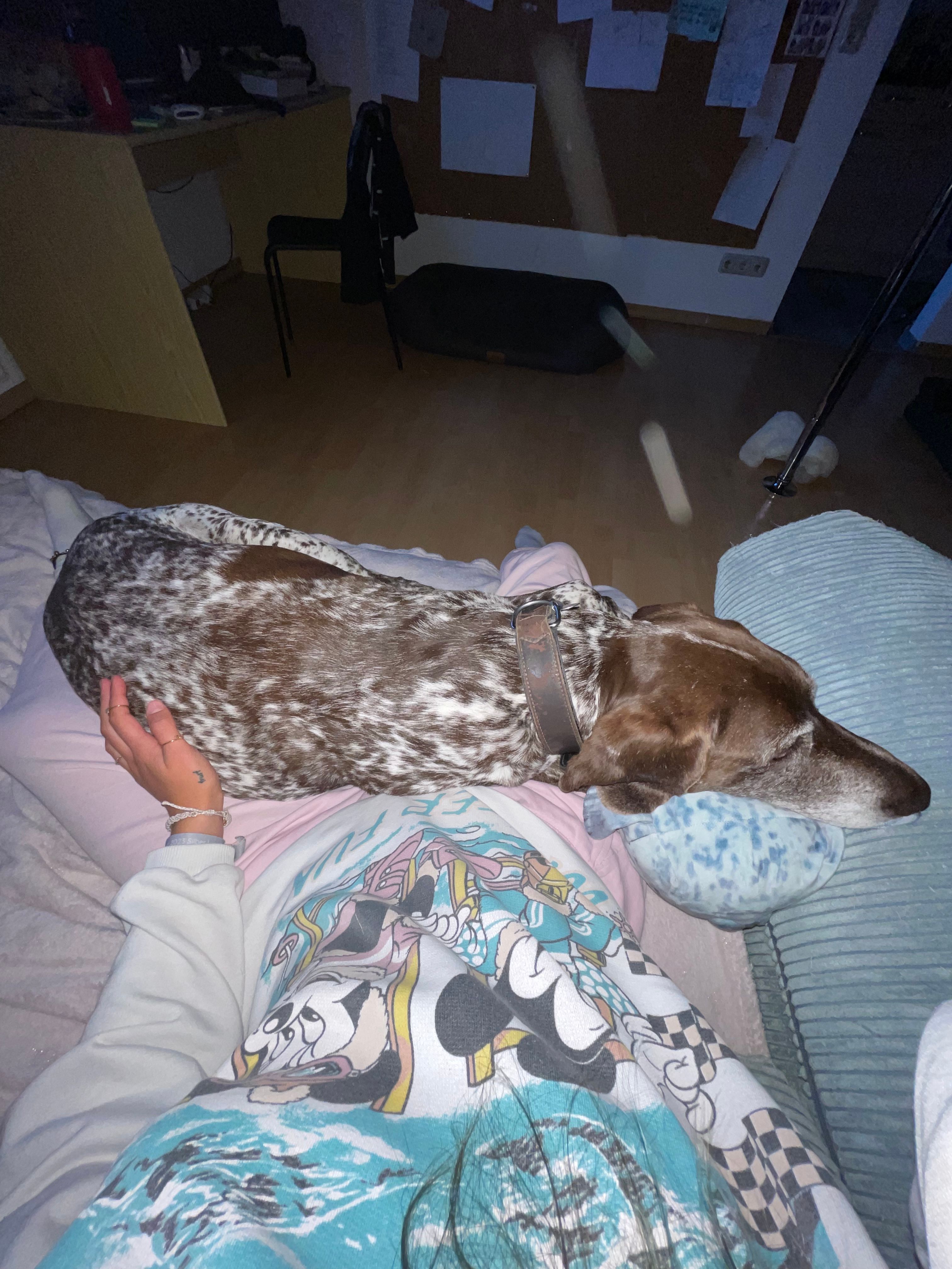 image-6