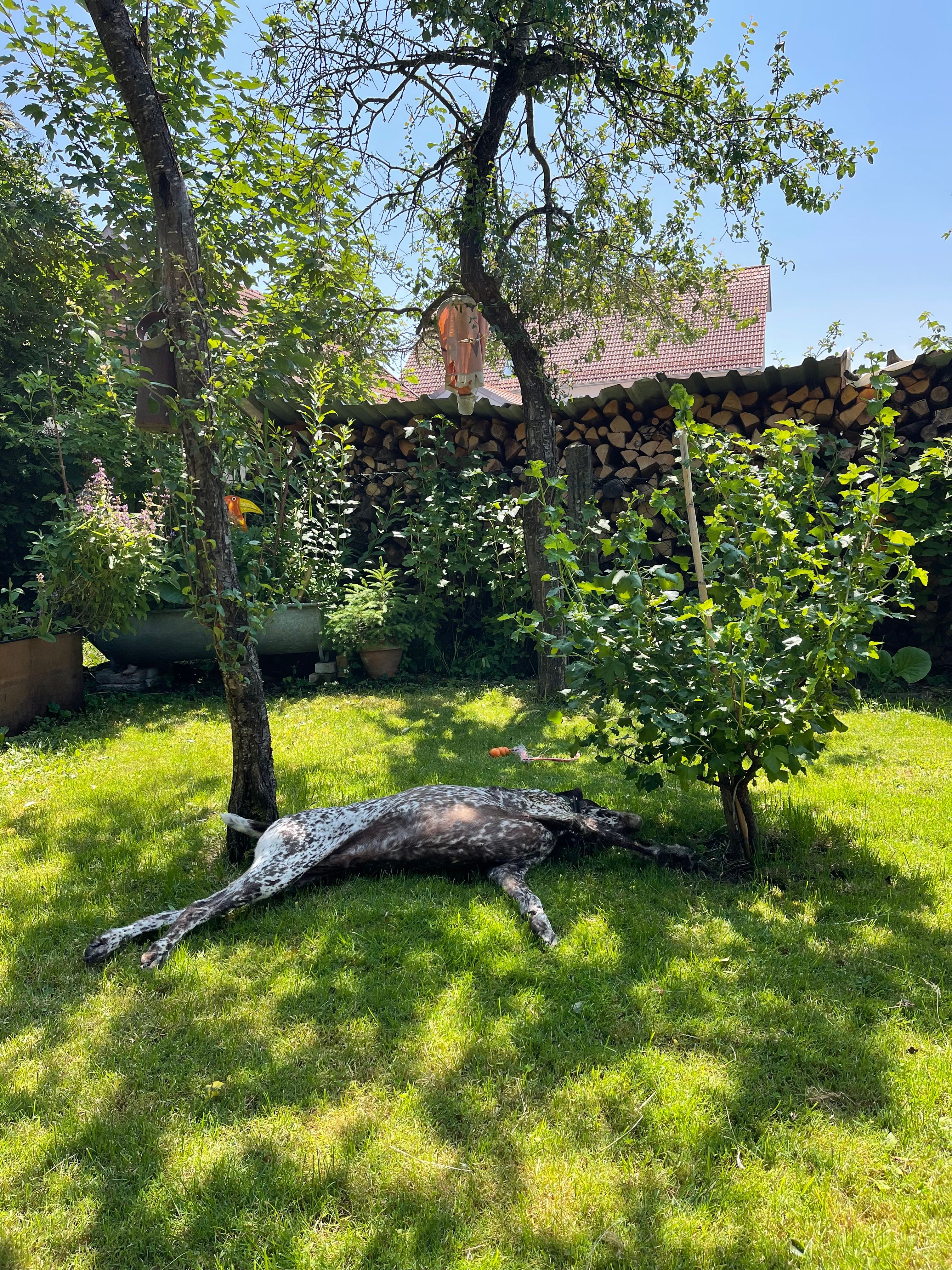 image-17
