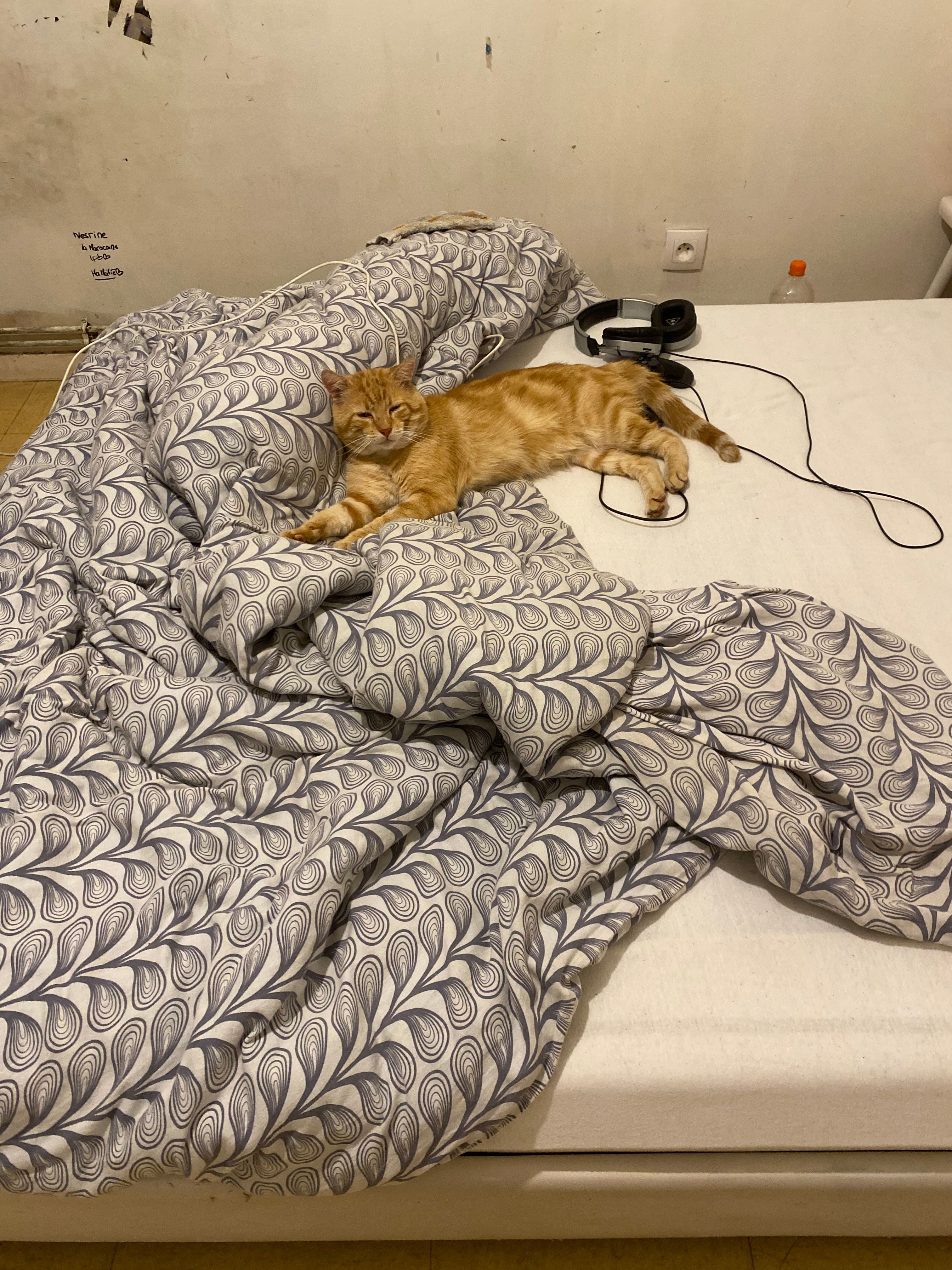 image-10