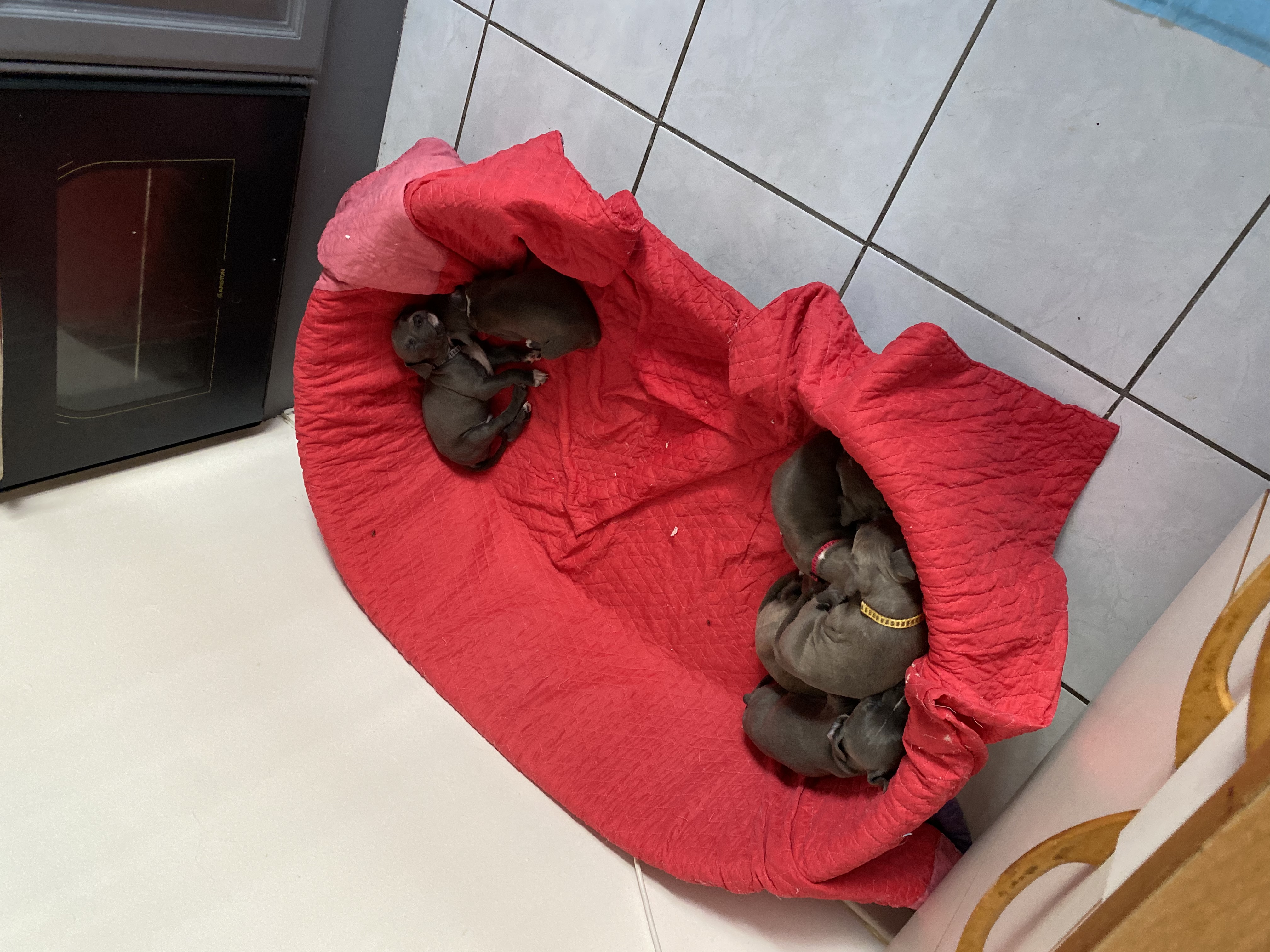 image-13
