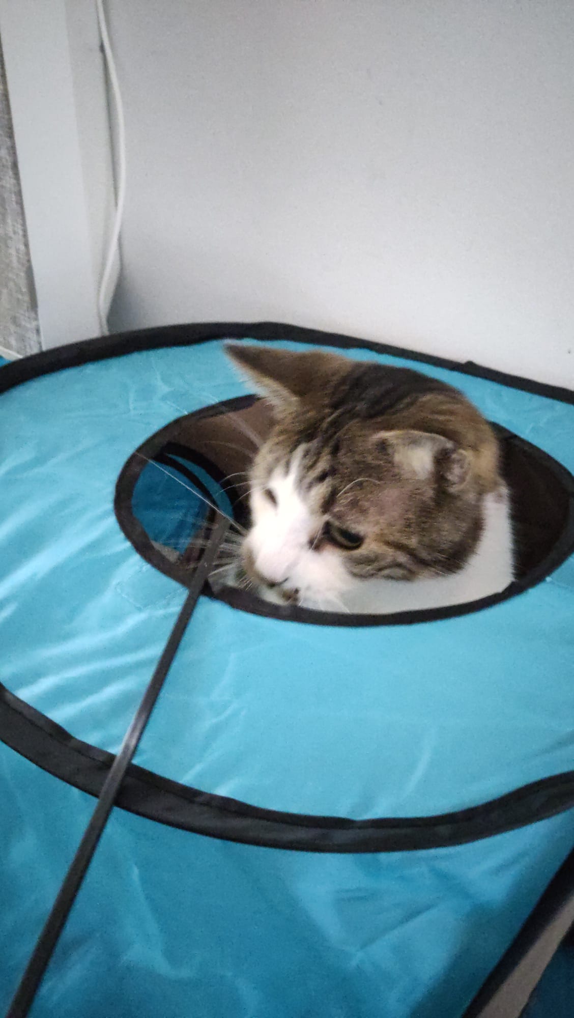 image-9